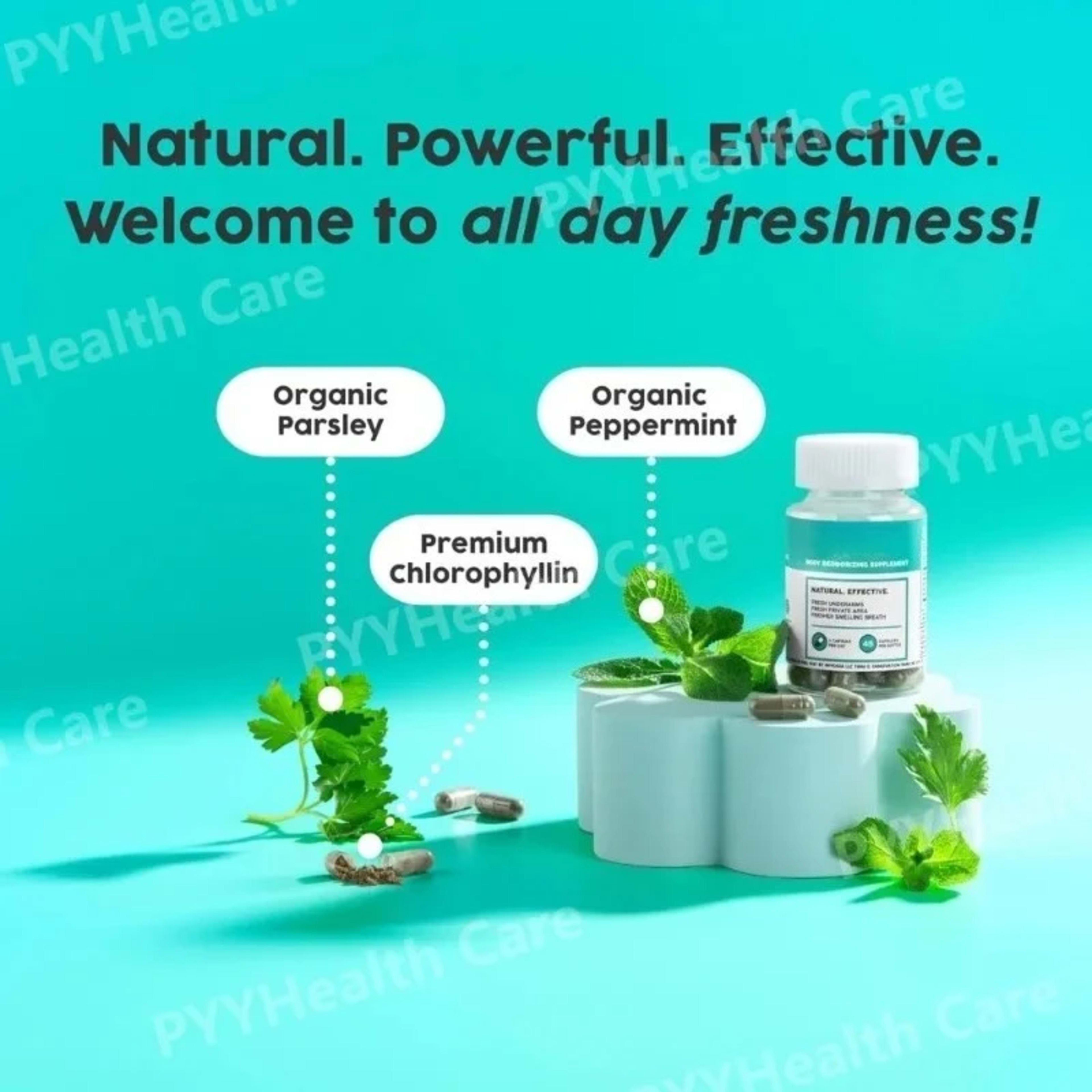 Chlorophyll Capsules Natural Plant-based Supplement Contain Herbal Ingredients for Digestion Support & Gut Health Skin H 4