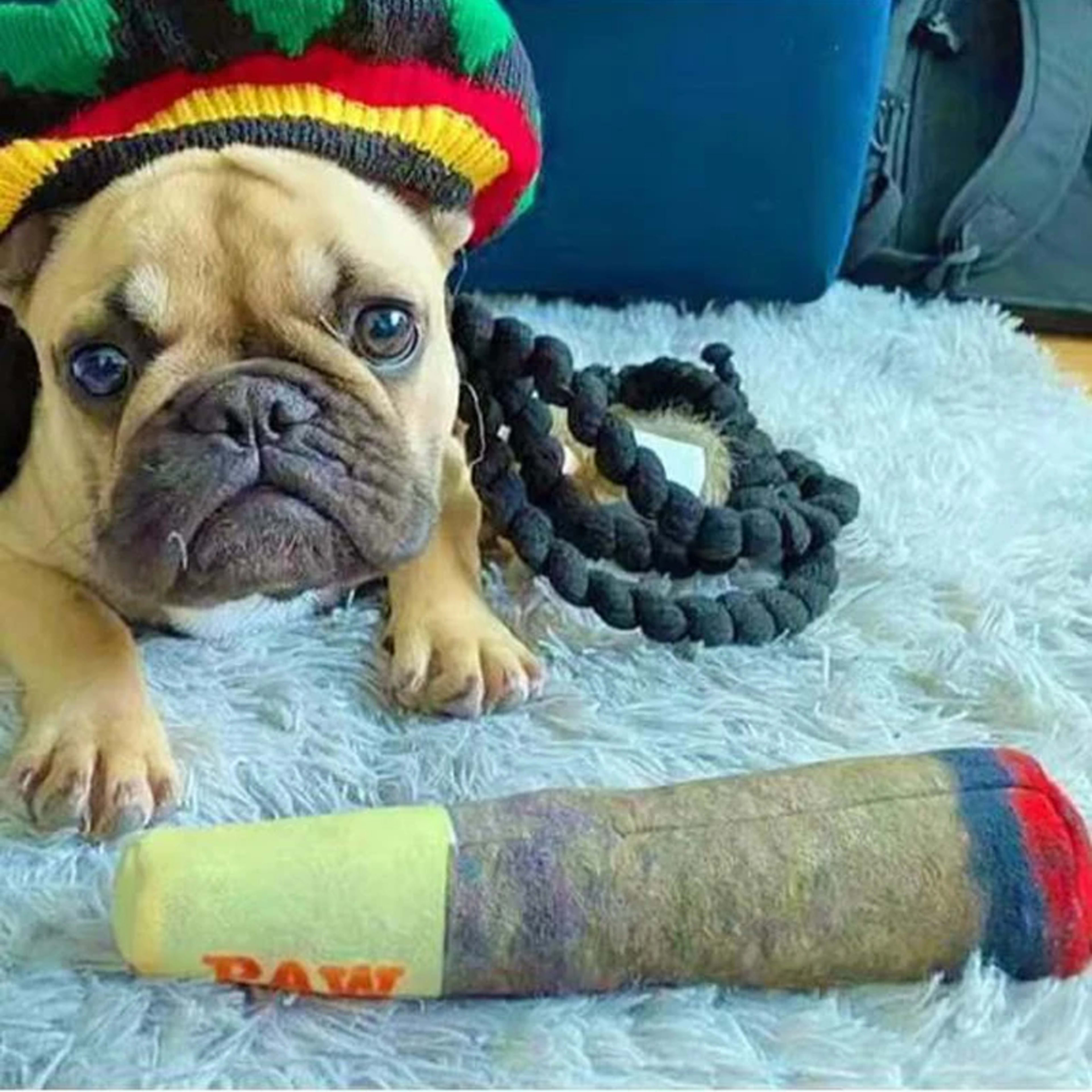Dog Toy Funny Interactive Dog Toys Cigar Design Sound Making Toy Plush Squeaky Pet Grinding Teeth Creative Chew for Smal 4
