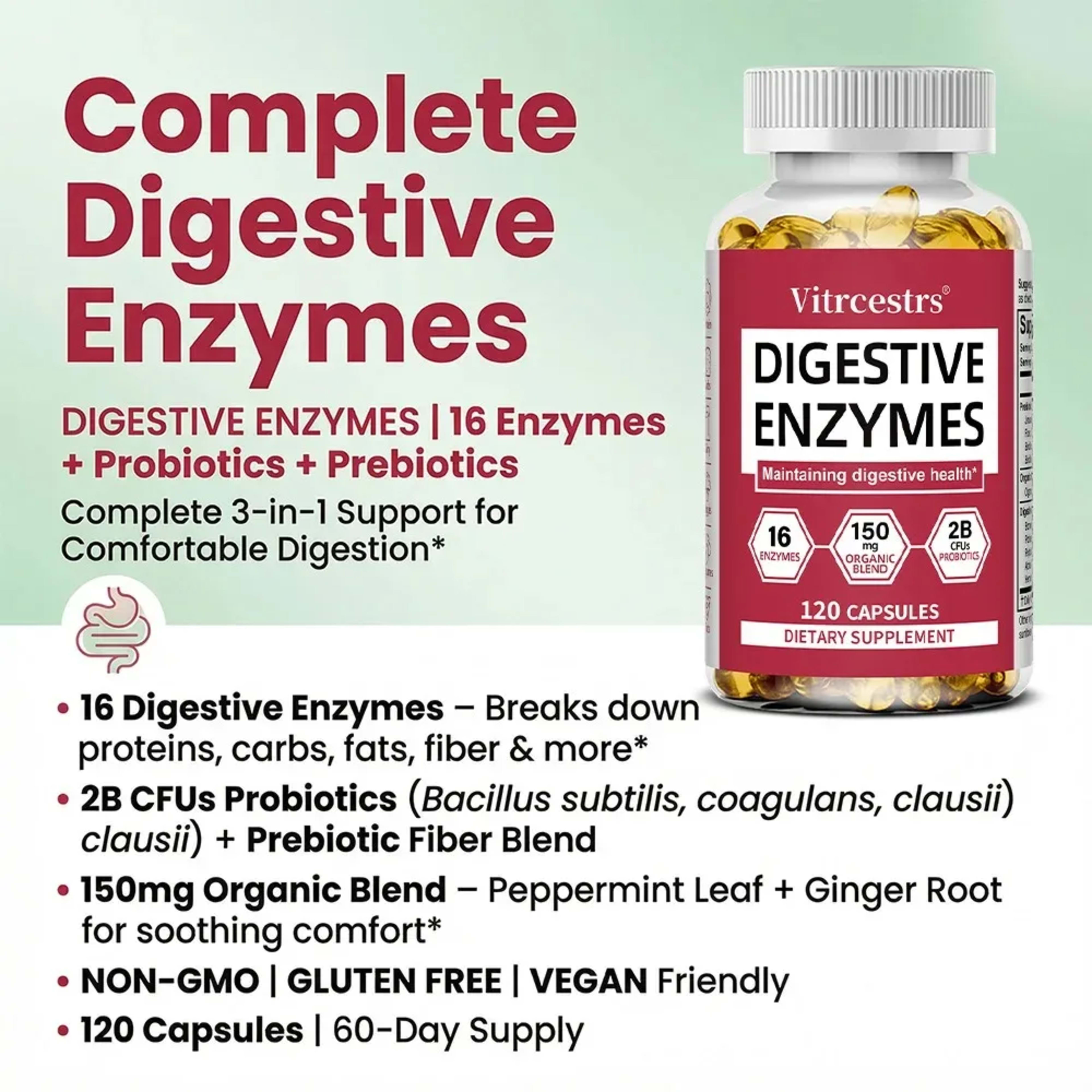 Digestive Enzyme Supplement Capsules – Promote Digestive Health, Support Gut Health, Suitable for Both Men and Women 6