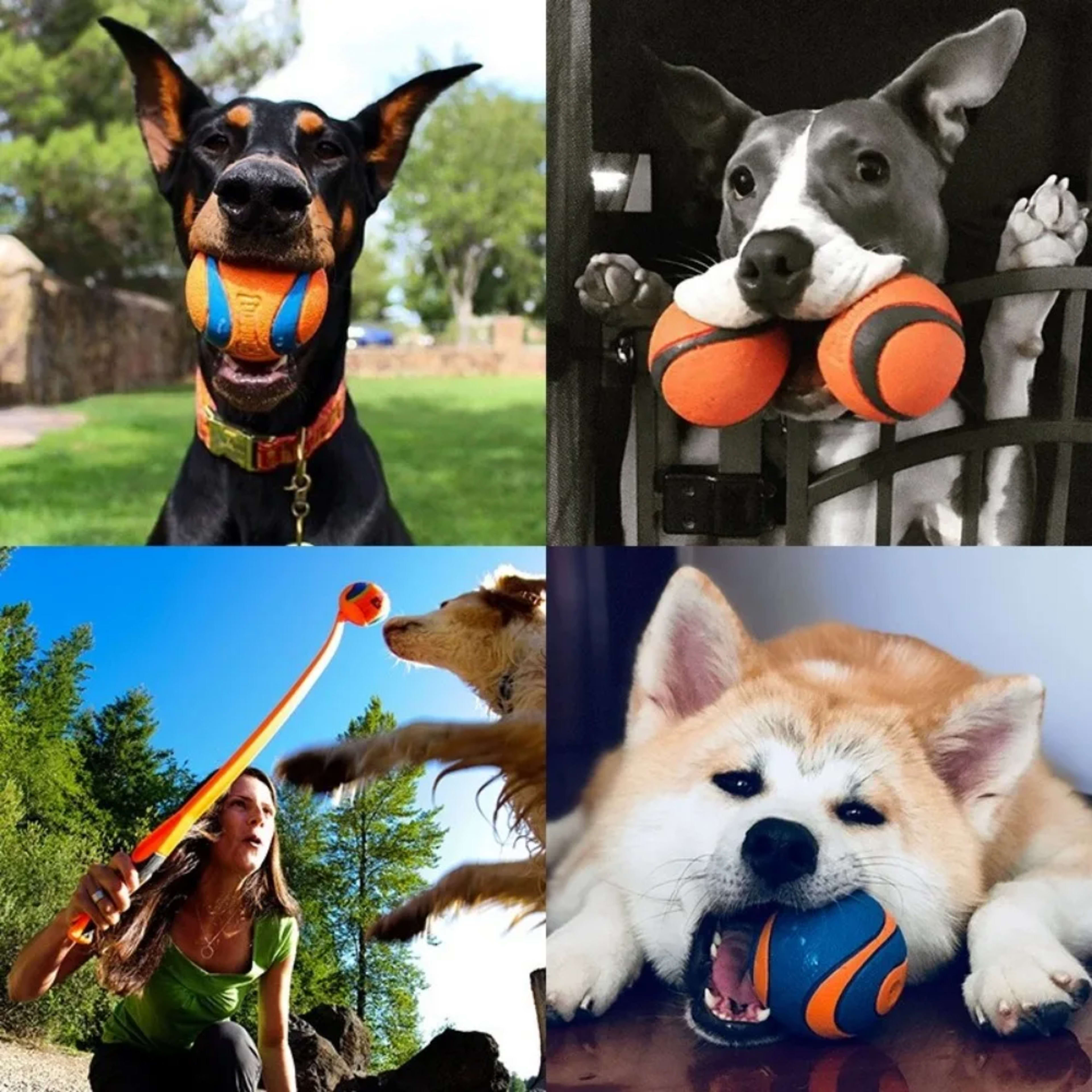 Dog Toy Ball Dog Fetch Ball Toy Tough Pet Ball Puppy Chew Toy Solid Elastic Jumping Ball Pet Accessories For Large Mediu 6
