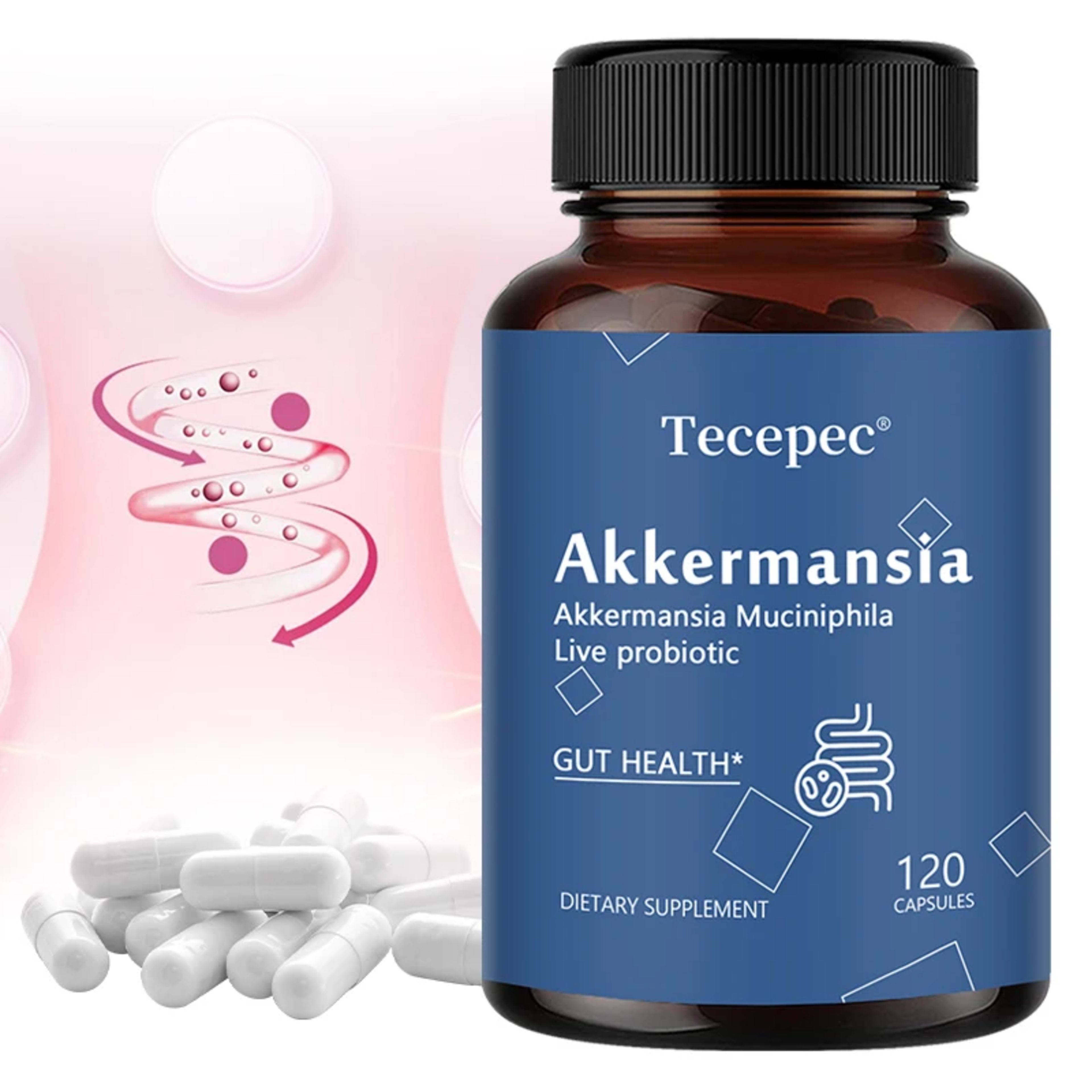 Akkermansia Probiotic, Gut Health Support Supplement | Contains Akkermansia Muciniphila – Enhances Nutrient Absorption 1