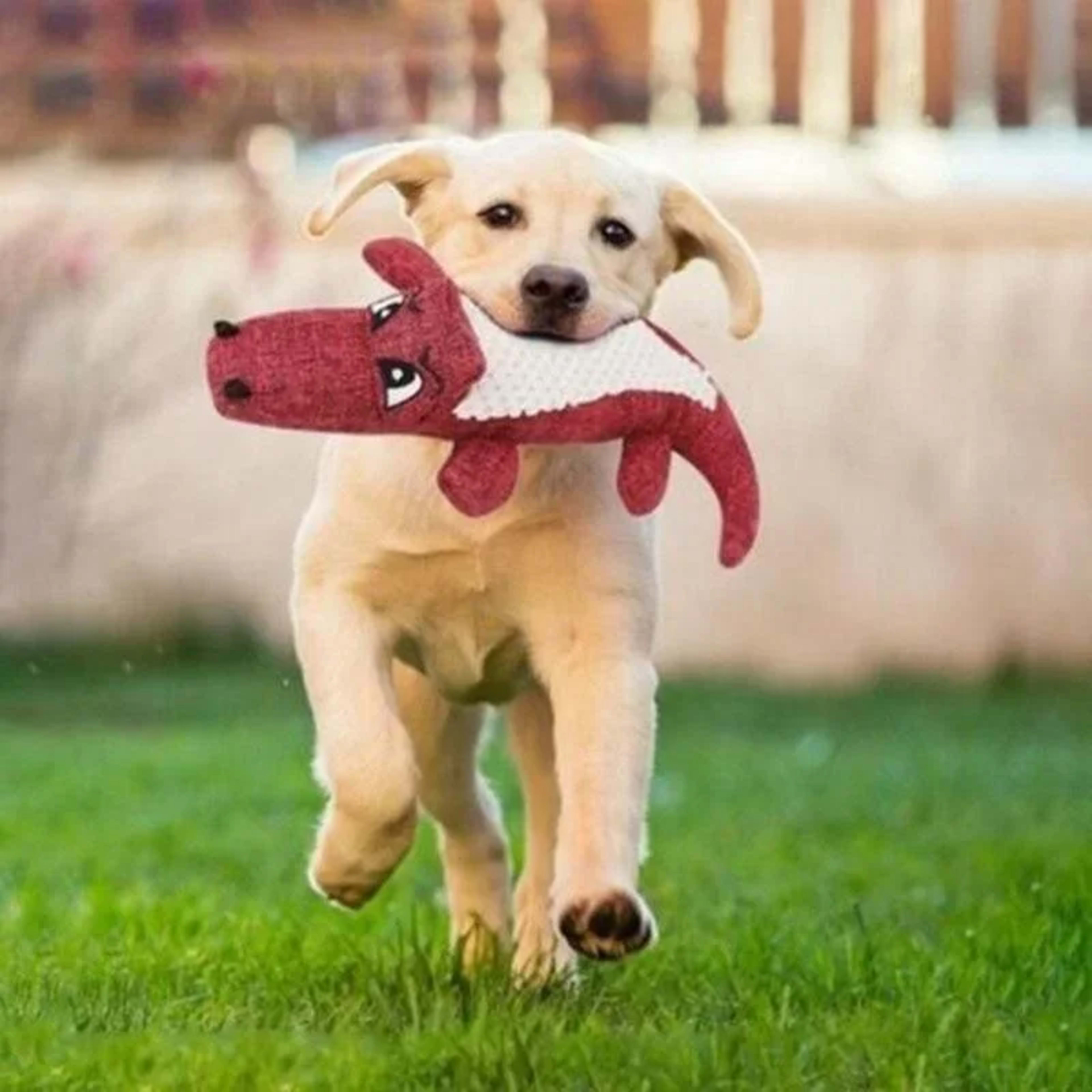 Pet Dog Toys Sound-Sounding Interactive Cartoon Animal Plush Toy Pet Supplies 2