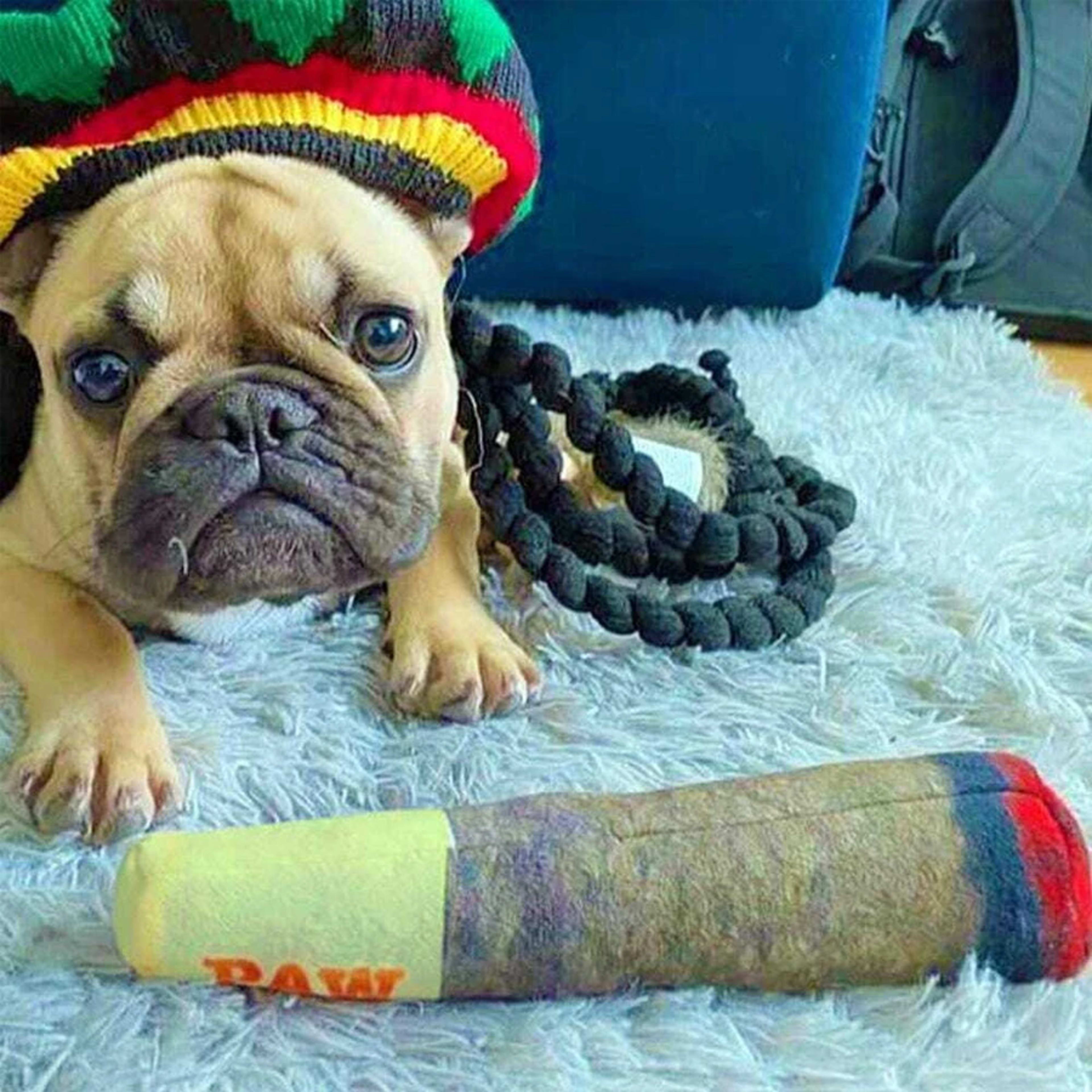 Funny Interactive Dog Toys - Cigar Design Plush Squeaky Pet Toys Grinding Teeth Creative Chew Toy For Small Medium Dog 5