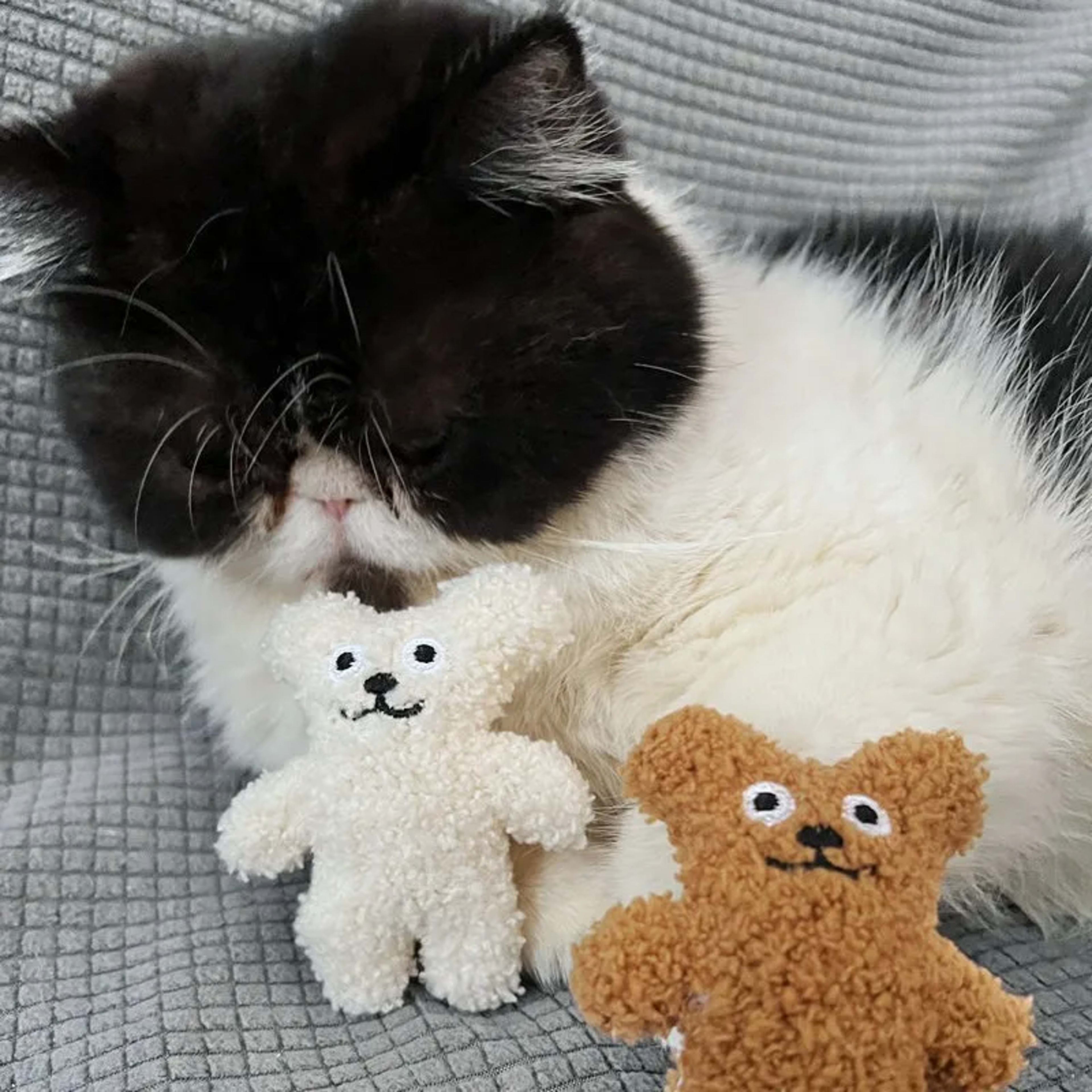 Pet Cat Mint Doll Plush Dog Toy Teddy Toy Pomerian Dog Accessories Dog Toys for Small Dogs Puppy Toys 3