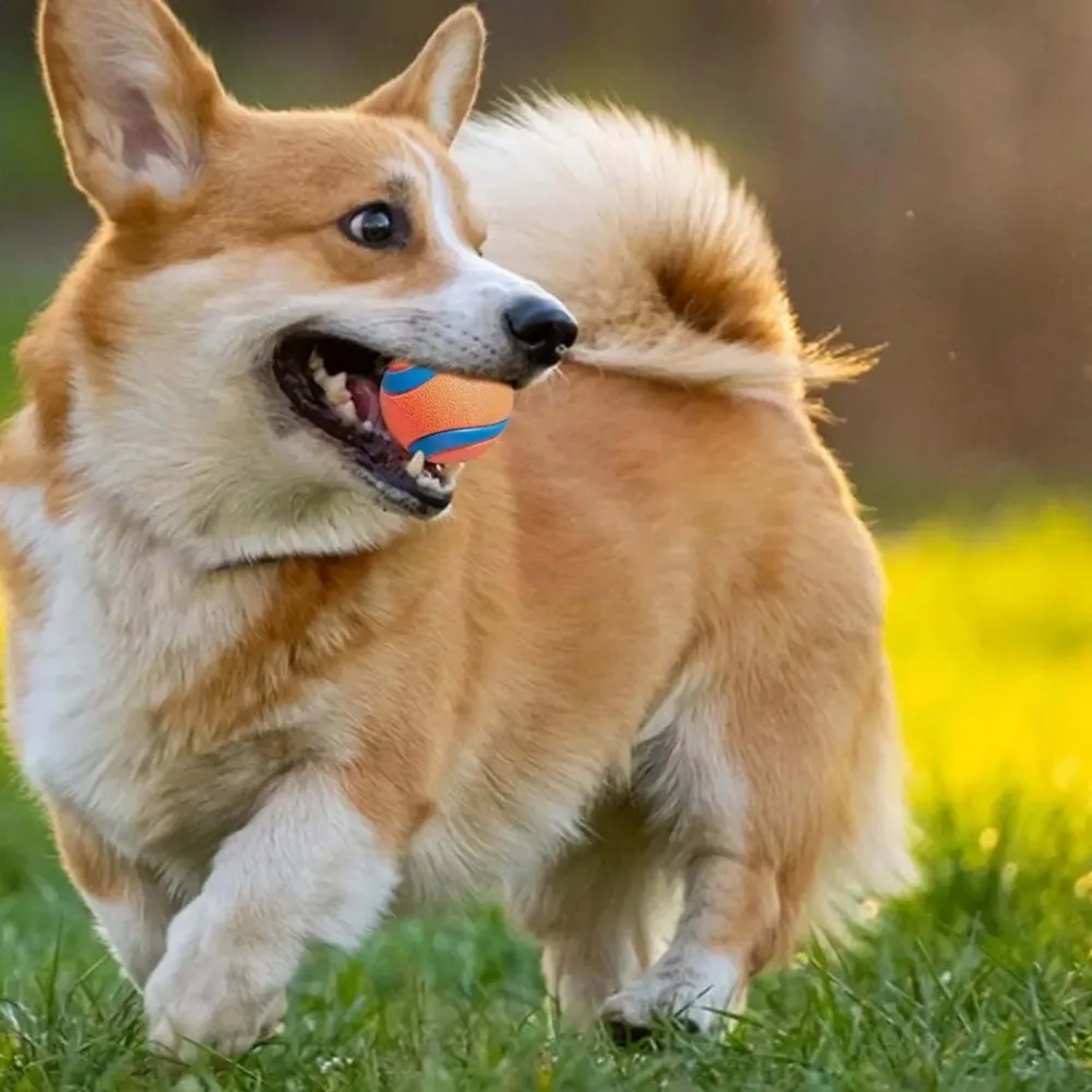 Dog Toy Ball Dog Fetch Ball Toy Tough Pet Ball Puppy Chew Toy Solid Elastic Jumping Ball Pet Accessories For Large Mediu 4