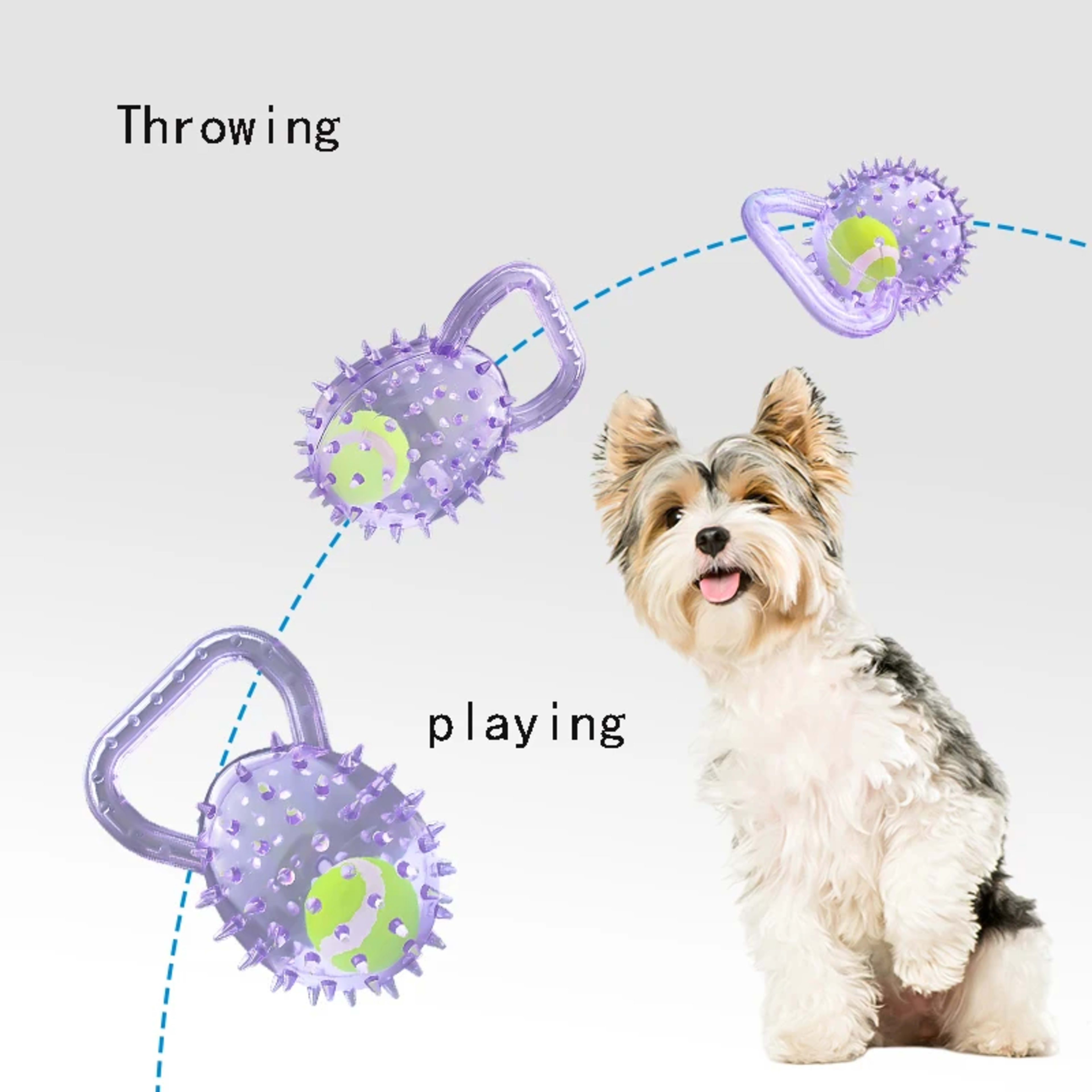 Pet dog toy with Football and Soft Thorn, made of soft rubber, suitable for large, medium and small dogs. 3