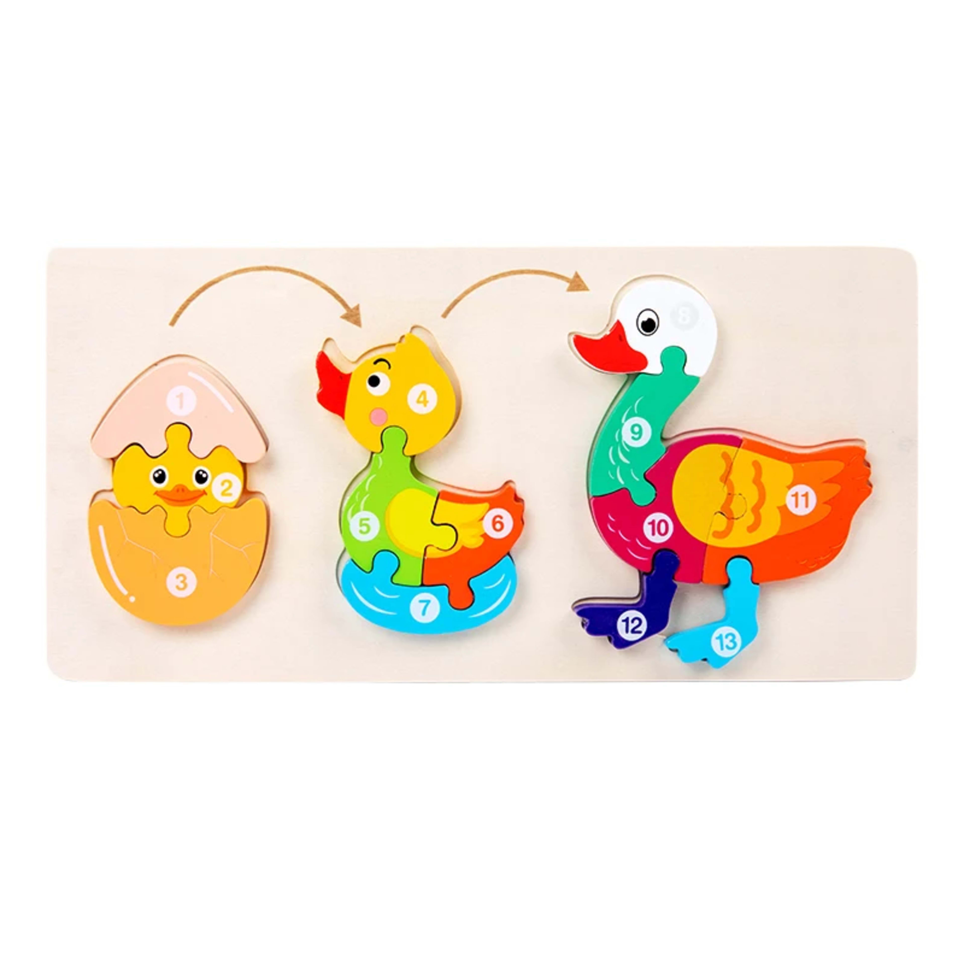 Baby Toy Wooden 3D Puzzle Toys Life cycle puzzle Cartoon Jigsaw For Children Baby Early Education Intelligence for Kids 12