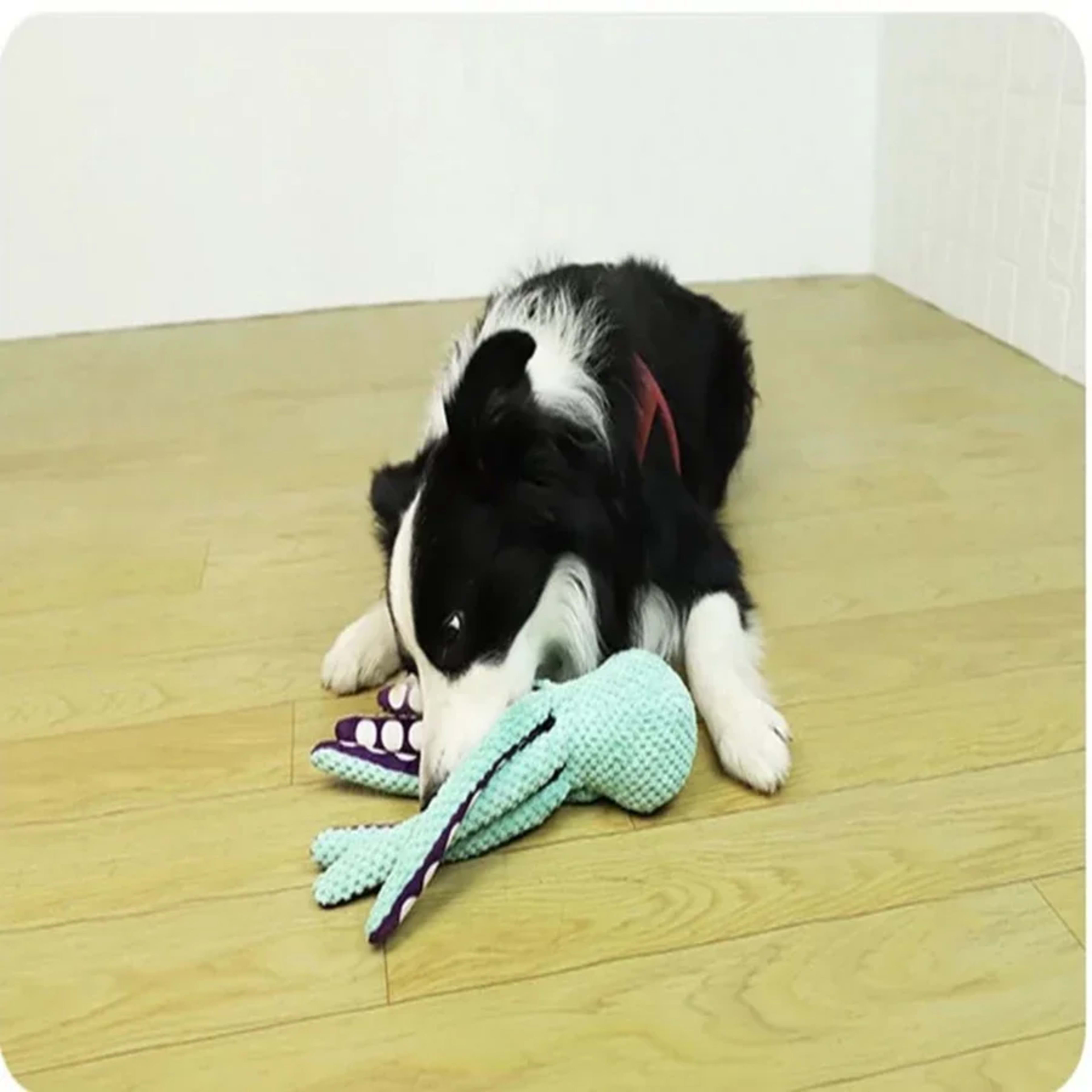 Pet plush octopus toy interactive sound anti-demolition home large and small dog boredom companion dog toy 2