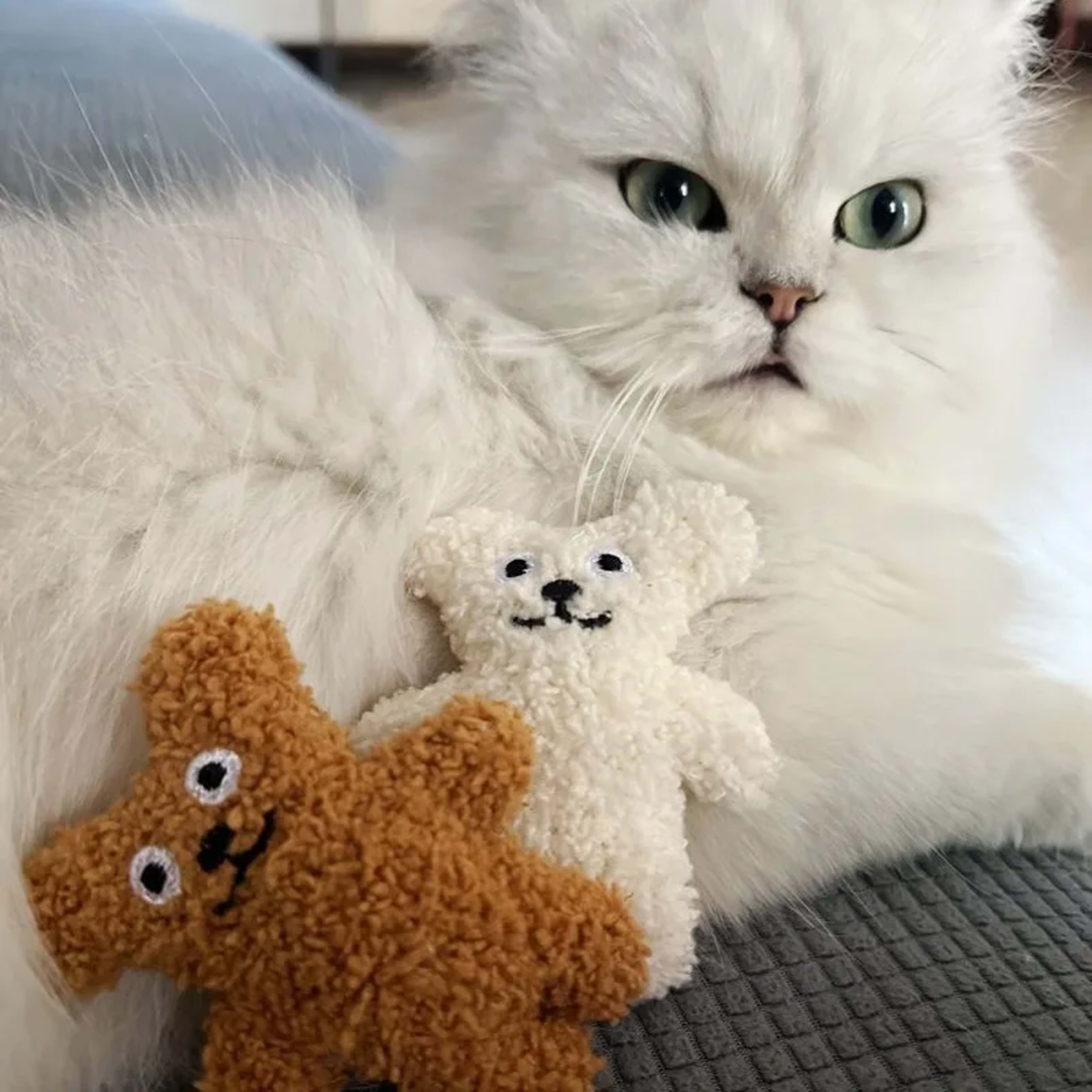 Pet Cat Mint Doll Plush Dog Toy Teddy Toy Pomerian Dog Accessories Dog Toys for Small Dogs Puppy Toys 2