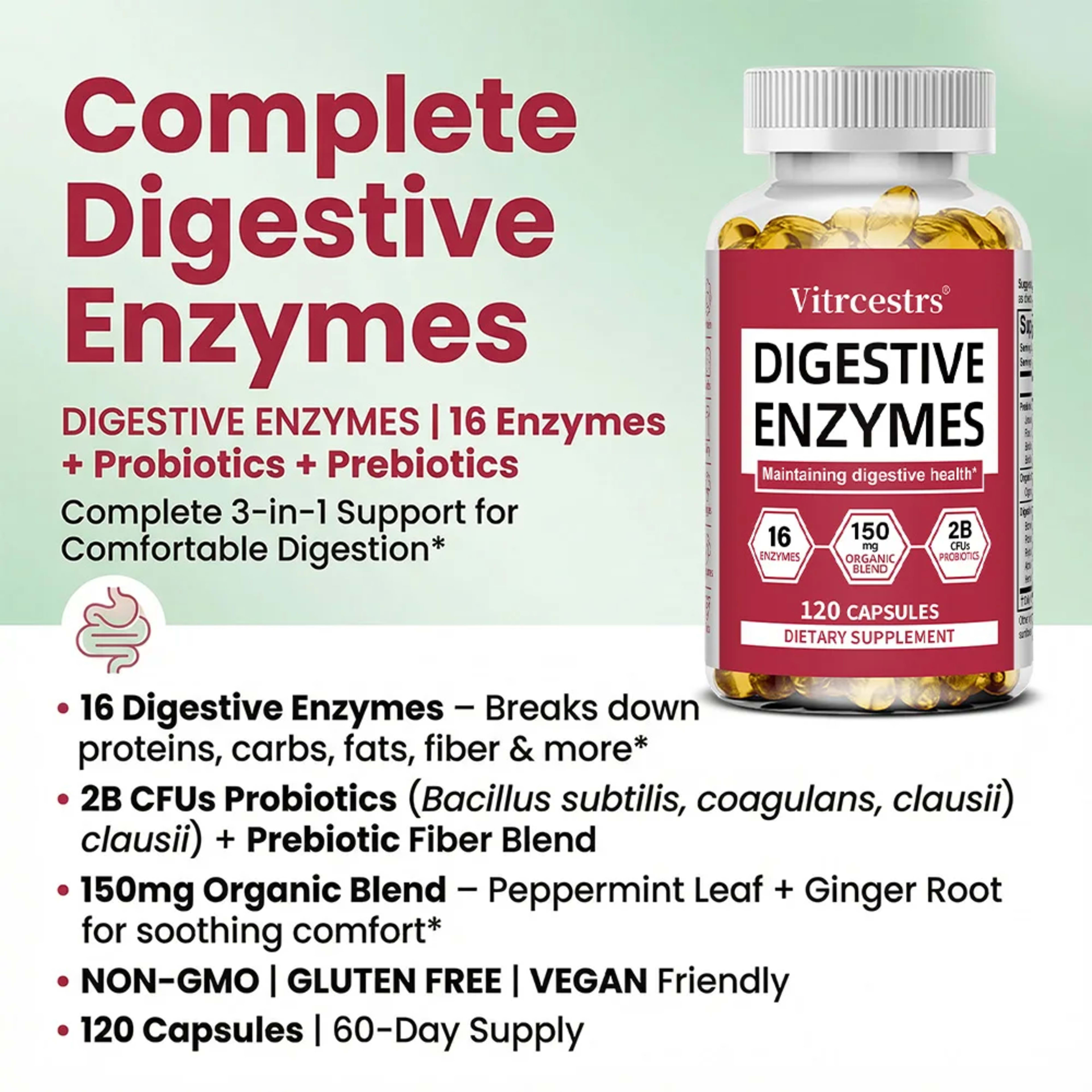 Digestive Enzymes Supplement - Digestion and Intestinal Health for Adults Men and Women, Promotes Nutrient Absorption 2