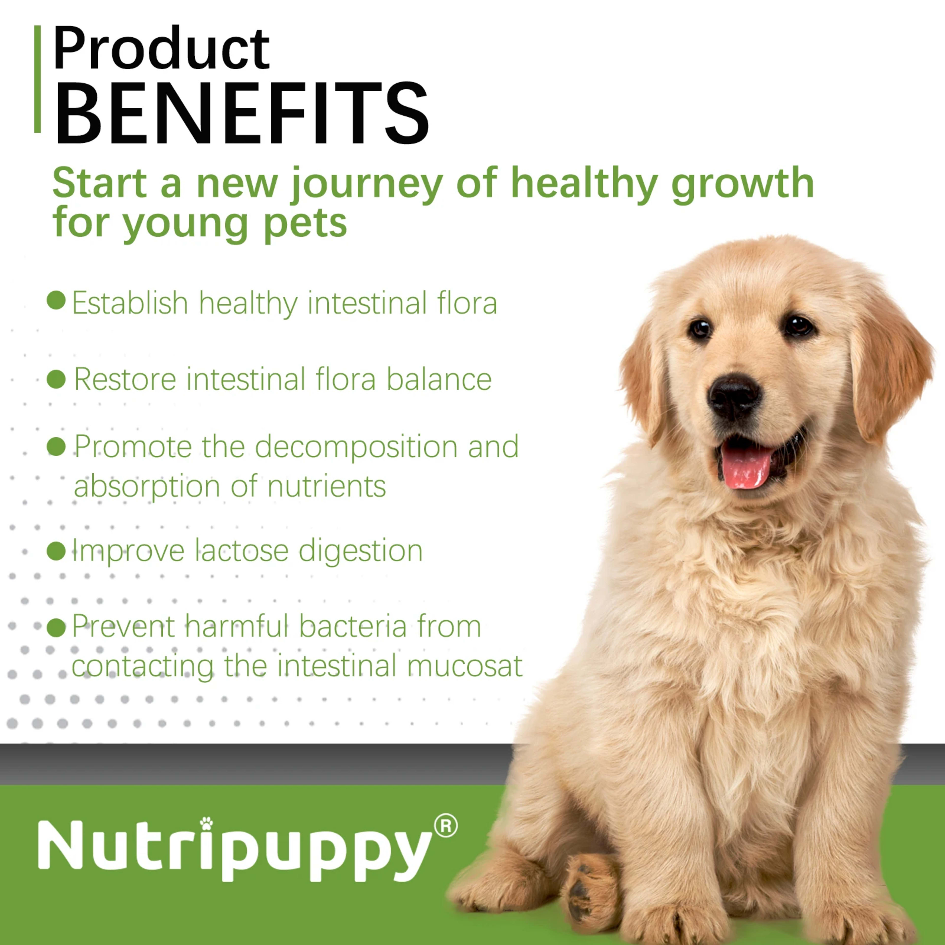 Dog Probiotic Powder Supplement - Supports Digestive Health&Relieves Diarrhea,Boosts Immune System for Puppy Adult Senio 5