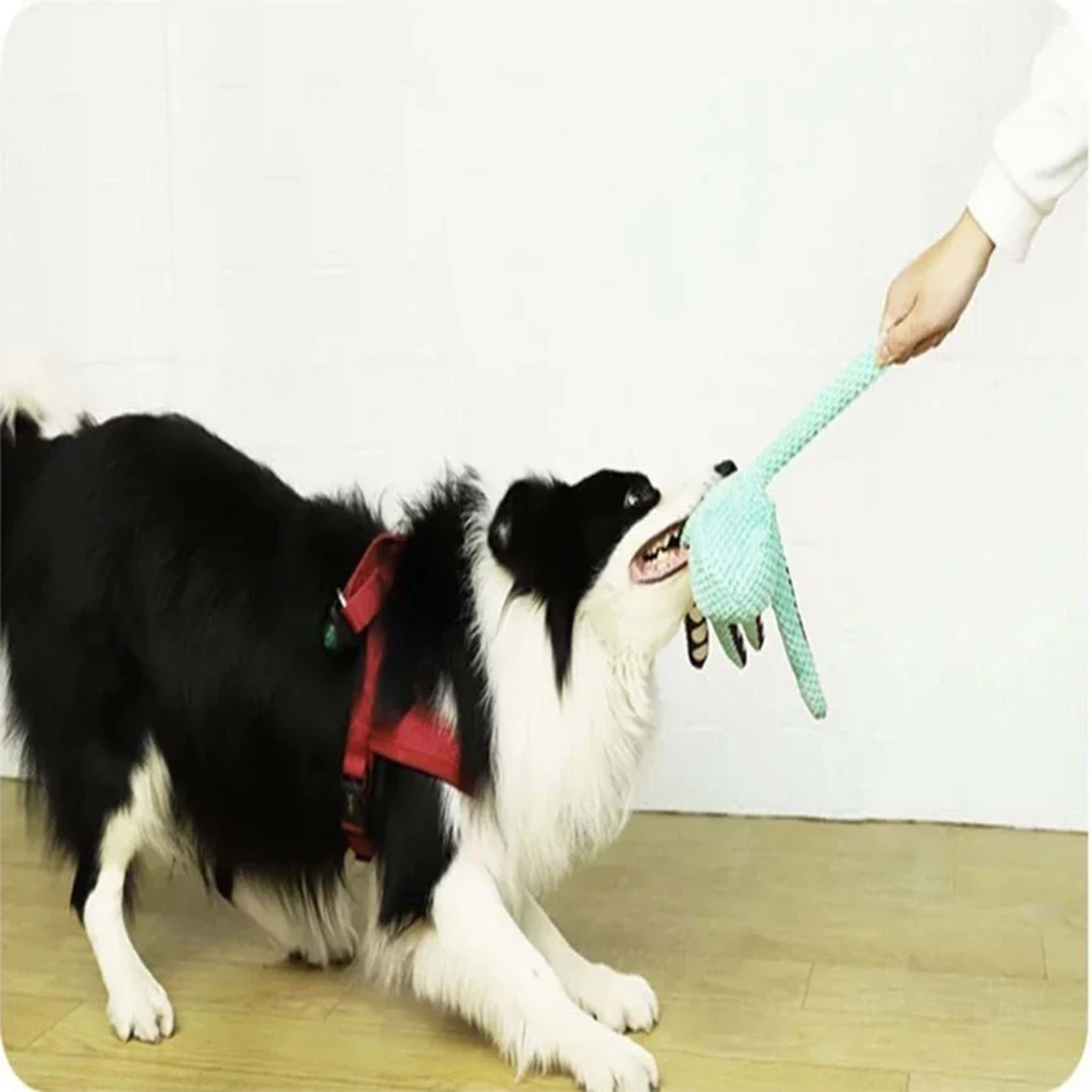Pet plush octopus toy interactive sound anti-demolition home large and small dog boredom companion dog toy 3