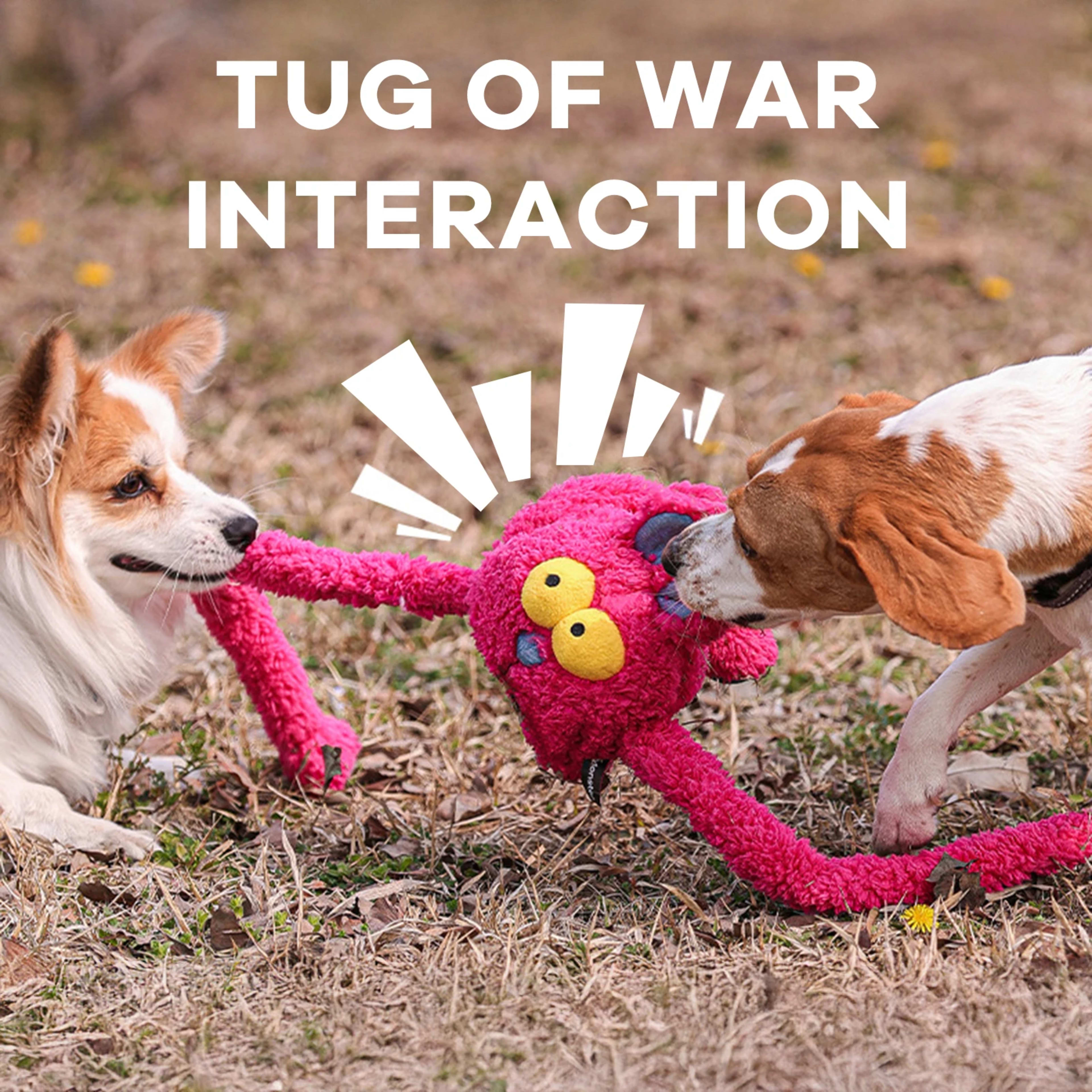 Pet Dog Chew Toys Squeaky Plush Sounding Toy Dogs Funny Sounding Interactive Pull Plush Dogs Toys For Training And Enter 1