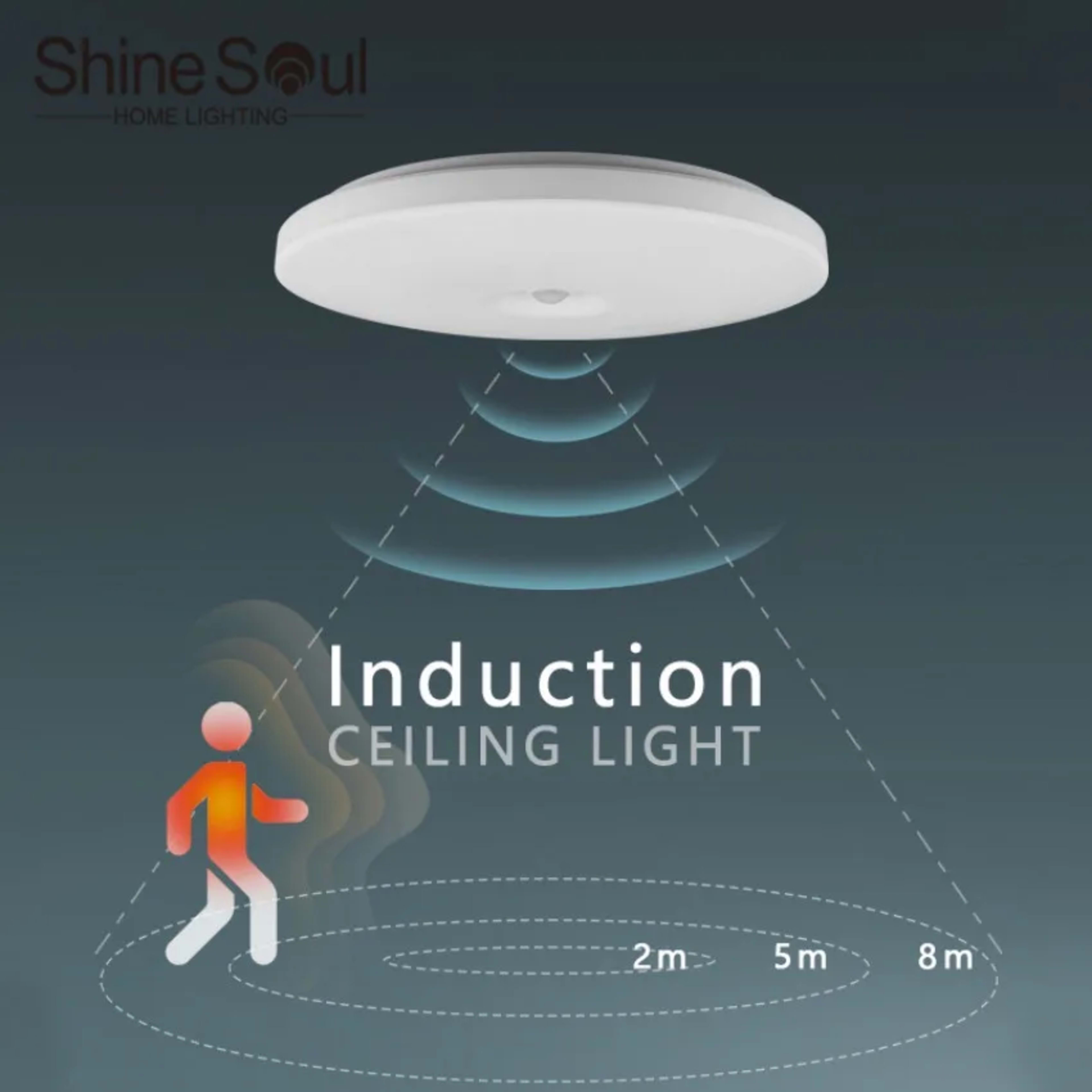 LED Ceiling Light with Motion Sensor Human Infrared Sensing Light Staircase Garage Corridor Warehouse Indoor Lighting Fi 3