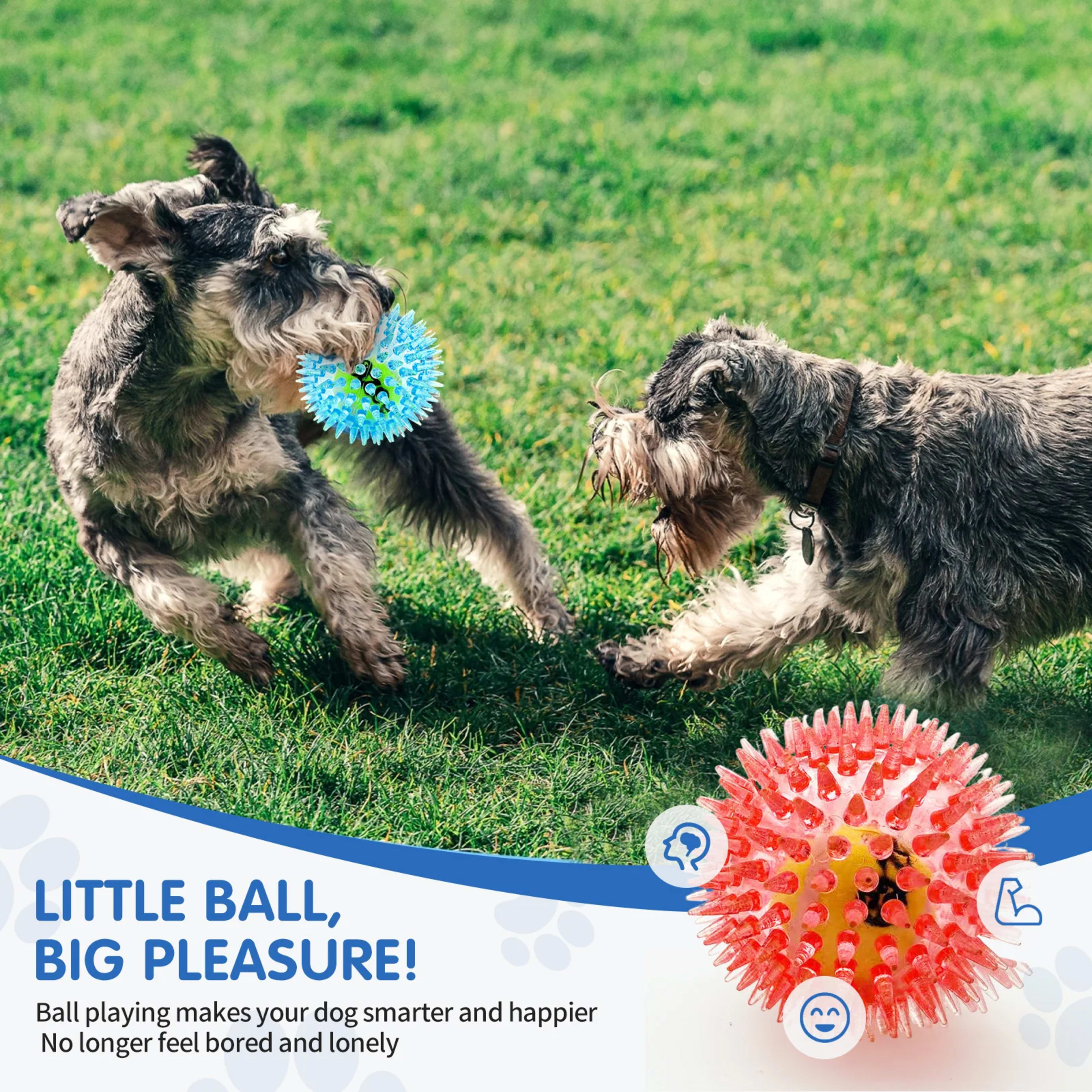 Pet dog toy, rubber tennis ball, prick ball, squeaking, grinding teeth, relieving boredom, accompanying various dogs of  4