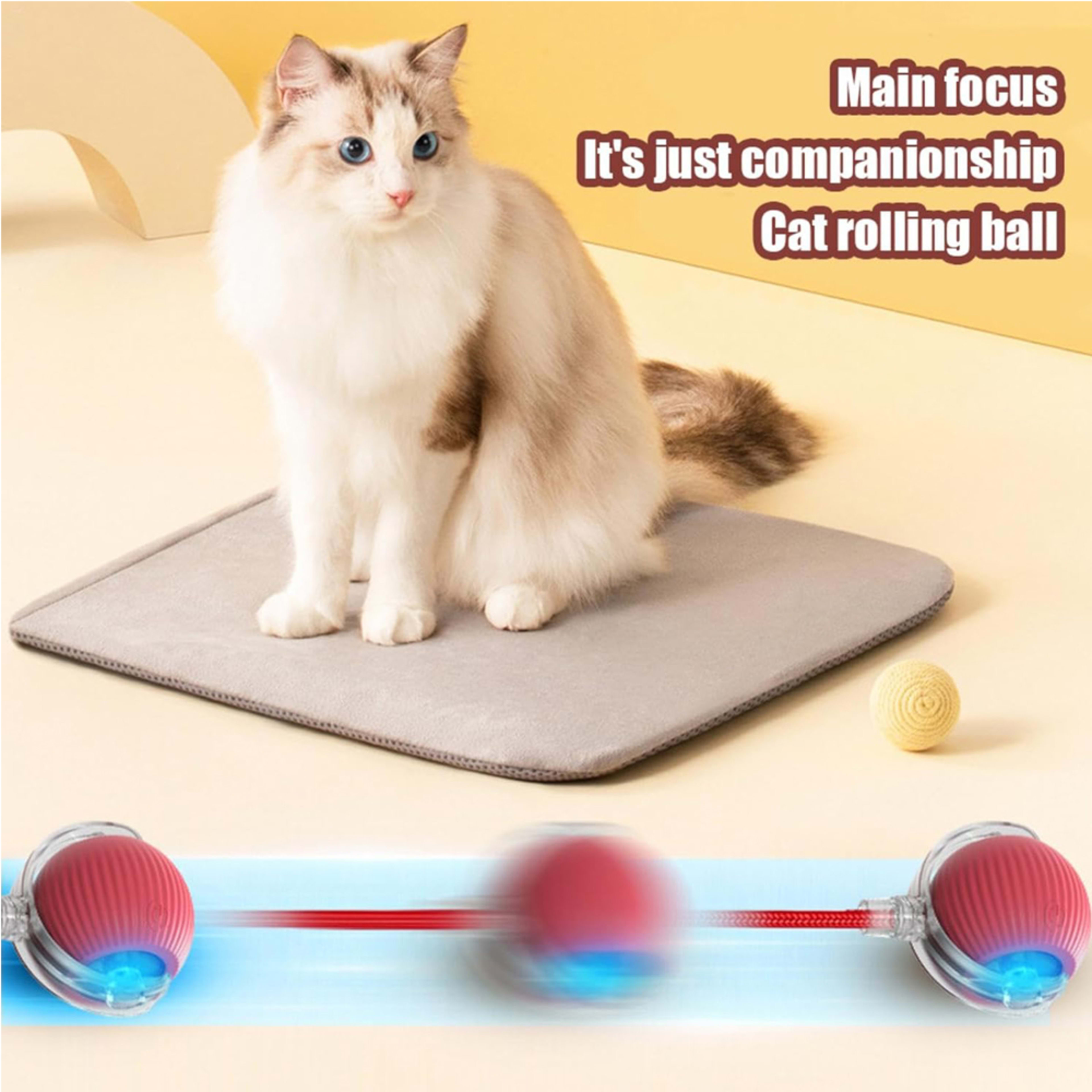 Electric Dog Cat Ball Toy,Indoor Large And Small Cat Dog Interactive Intelligent Rolling Pet Ball 12