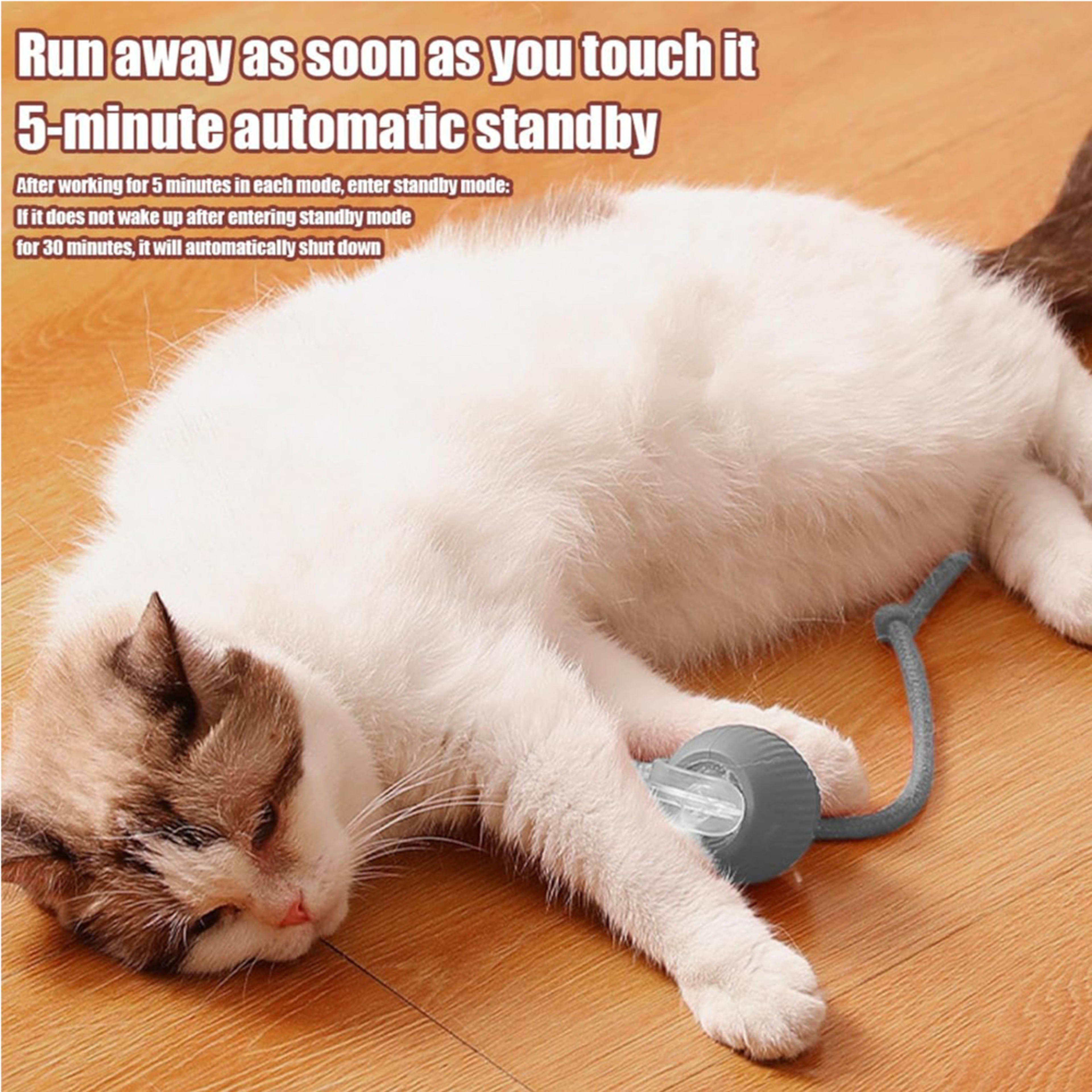 Electric Dog Cat Ball Toy,Indoor Large And Small Cat Dog Interactive Intelligent Rolling Pet Ball 5
