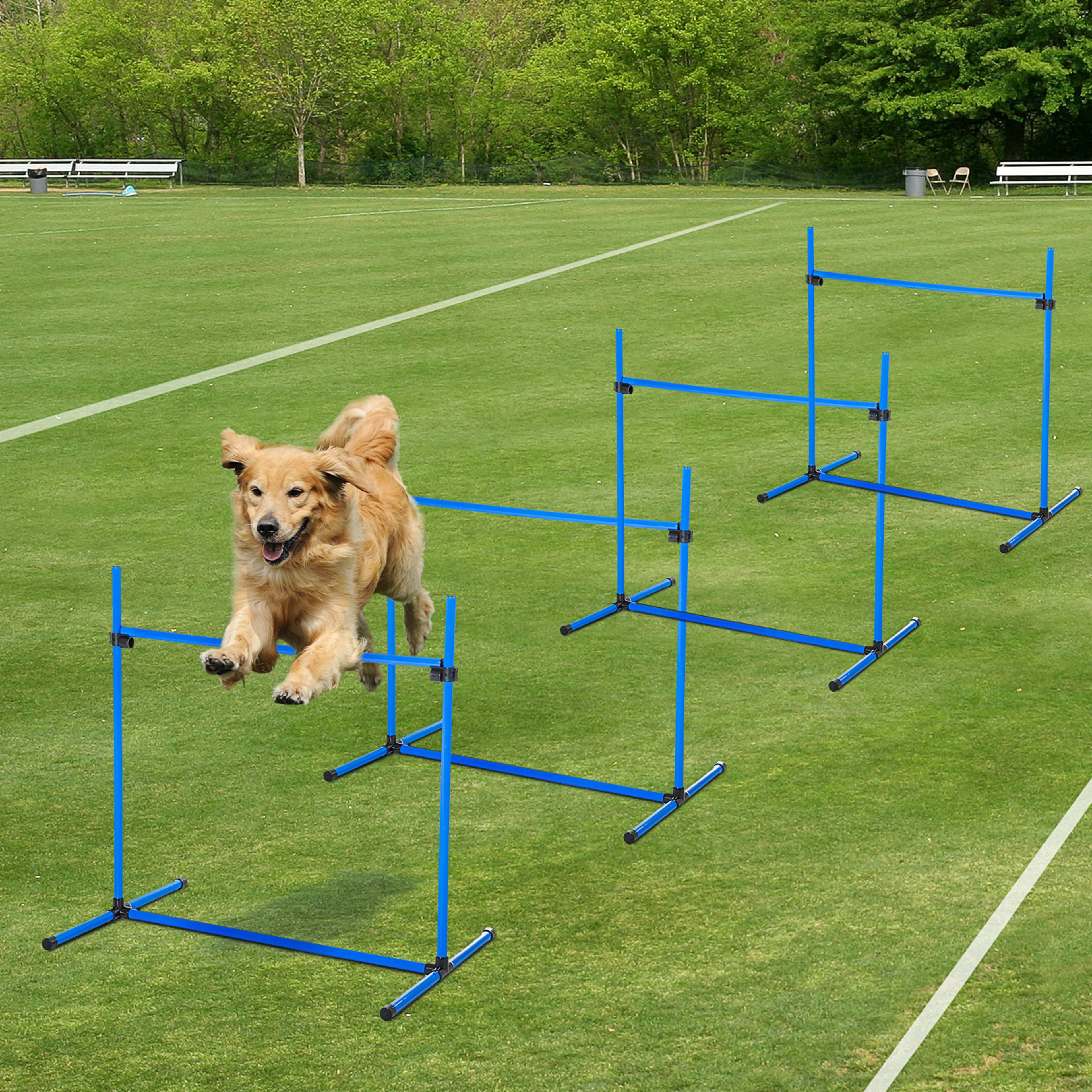 4 Piece Dog Agility Starter Kit with Adjustable Height Jump Bars, Included Carry Bag & Displacing Top Bar - Blue 3