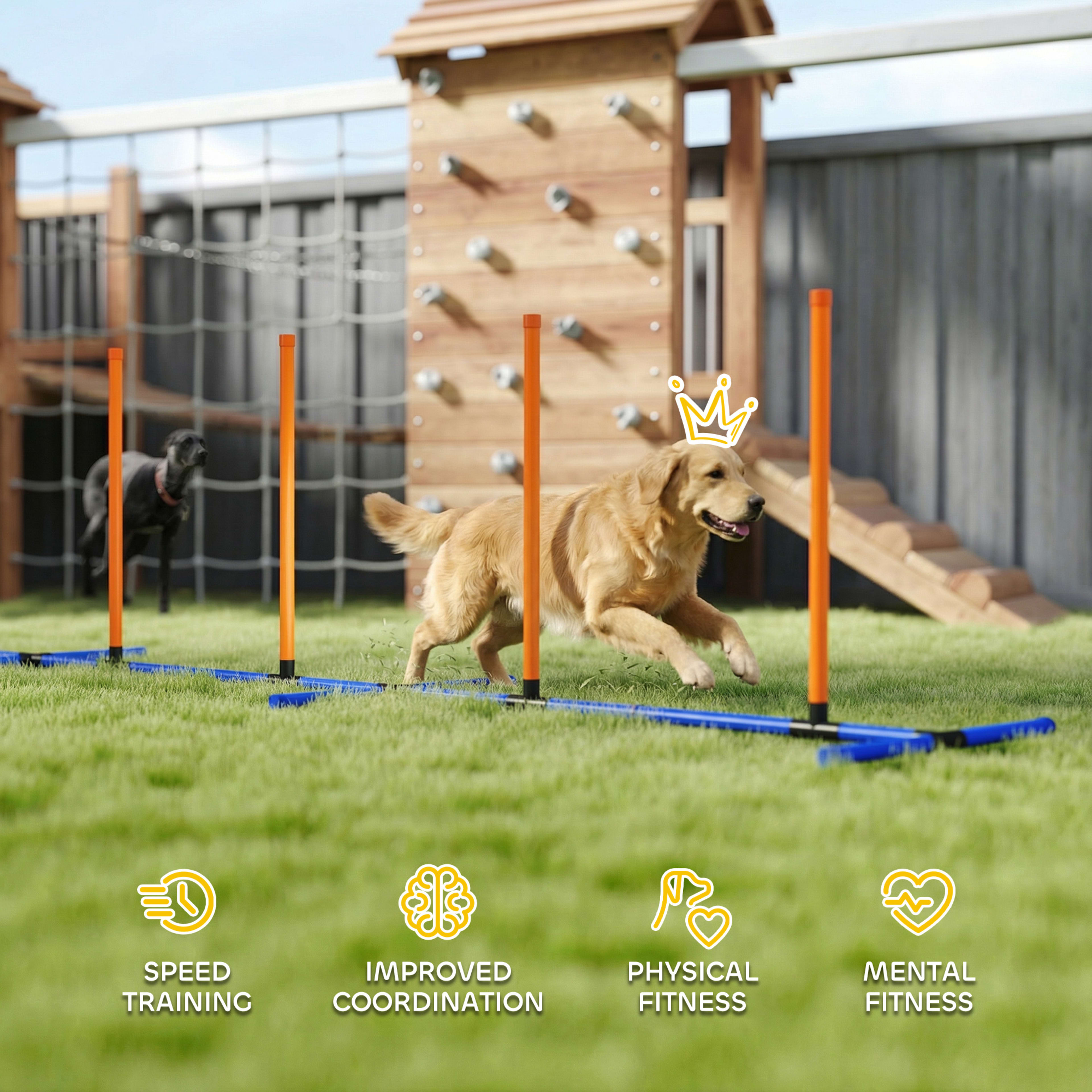 Dog Agility Training Equipment Adjustable Poles for Dog Agility Course with Carry Bag 7