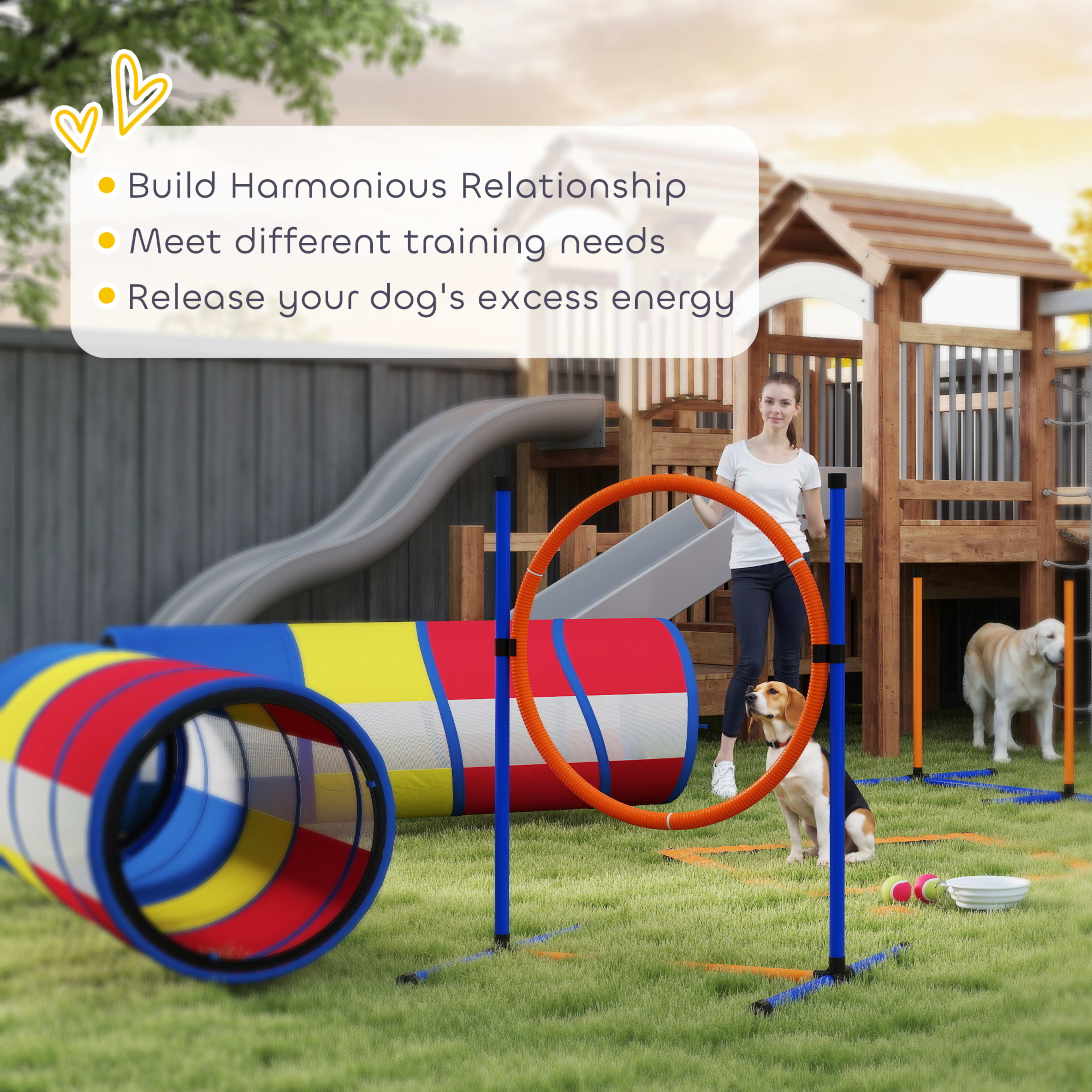 Dog Agility Training Equipment, 12-Piece Dog Obstacle Course with Adjustable Hurdle & Ring, 4 Tunnels, Weave Poles 2