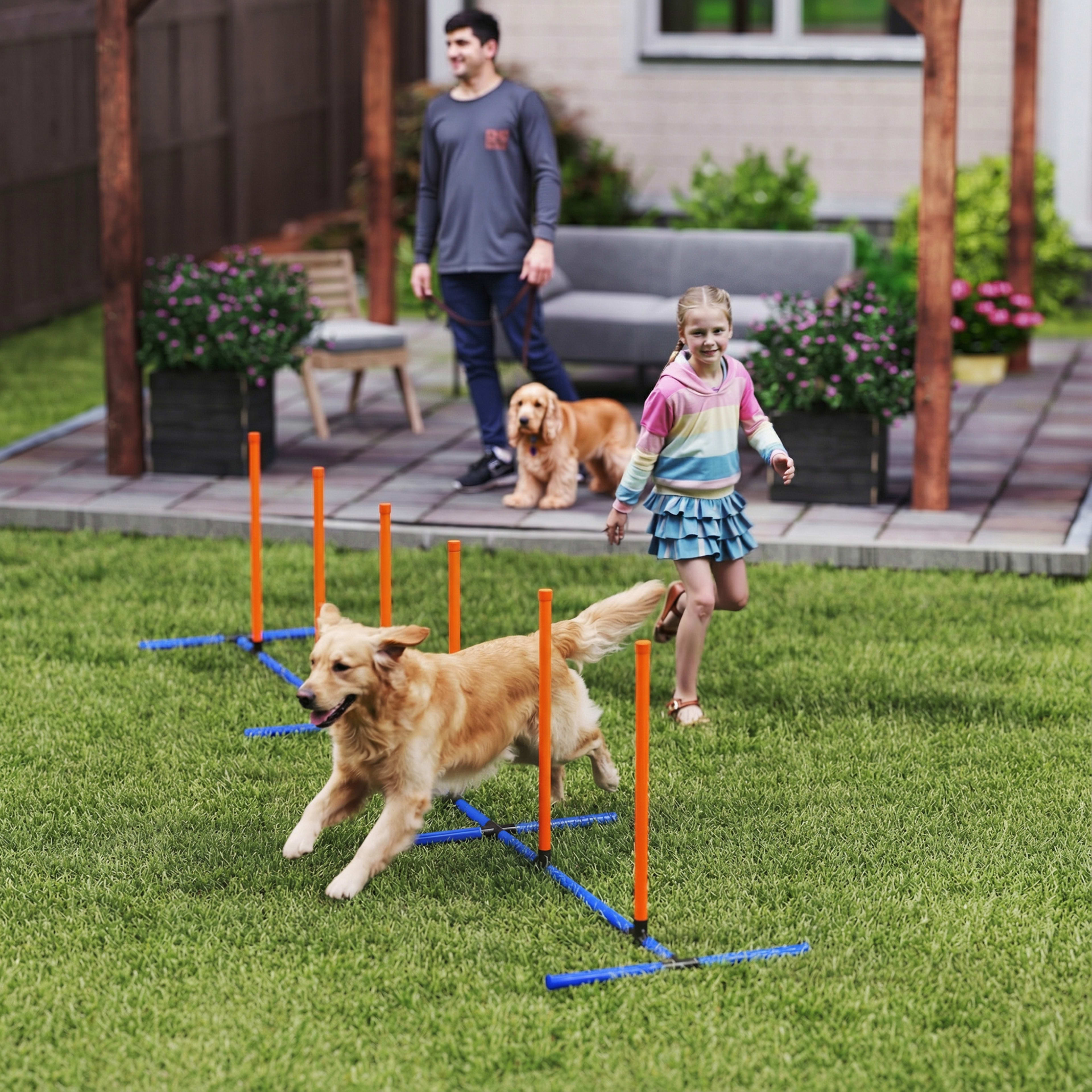 Dog Agility Training Equipment Adjustable Poles for Dog Agility Course with Carry Bag 4