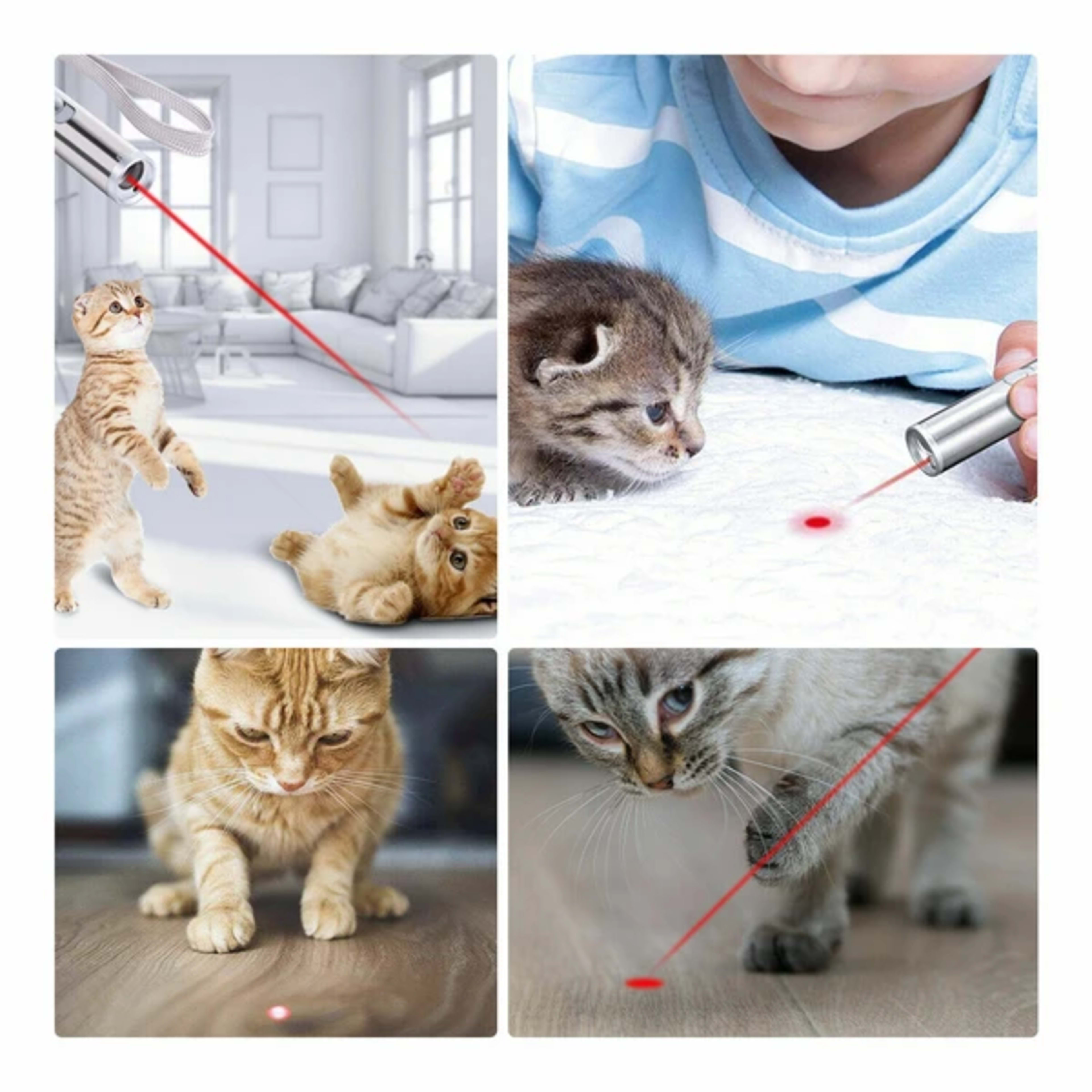 3in1 1mw Cat Laser Pointer Pen USB Rechargeable For Cat Toy White Torch & UV Light 2