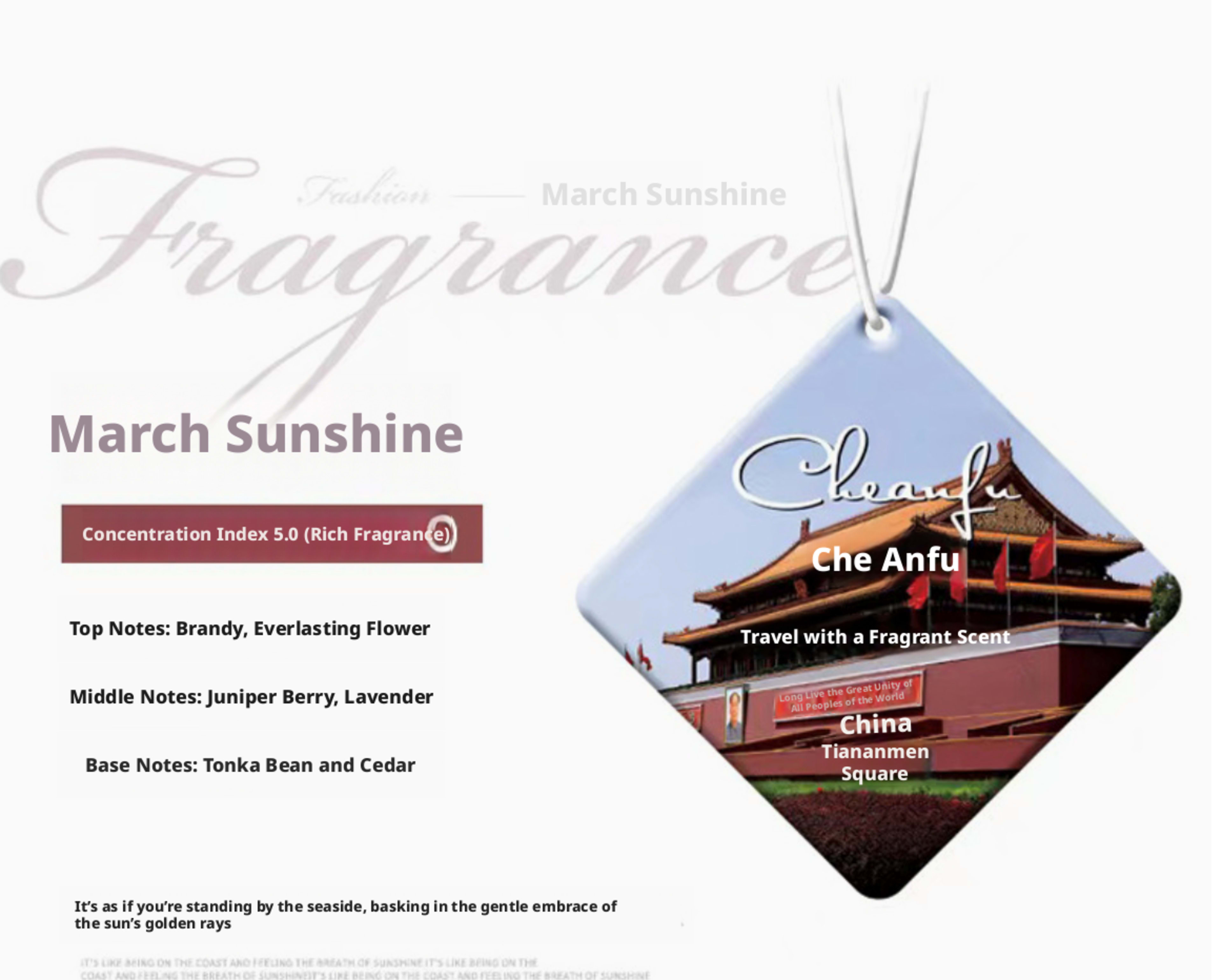 Travel Aromatherapy Tablets-Mount Fuji-10 ‰ 14cm-1 piece 6