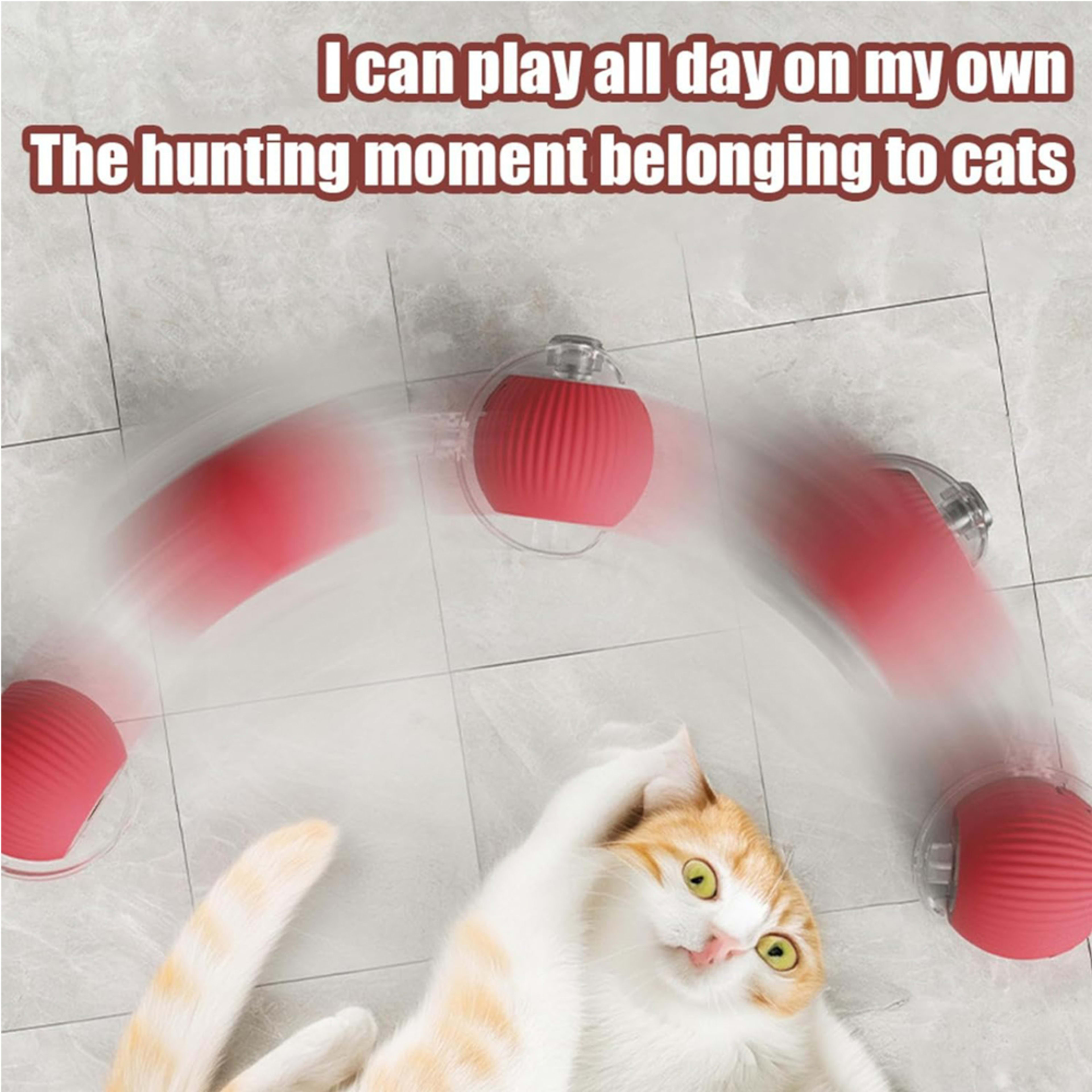 Electric Dog Cat Ball Toy,Indoor Large And Small Cat Dog Interactive Intelligent Rolling Pet Ball 4