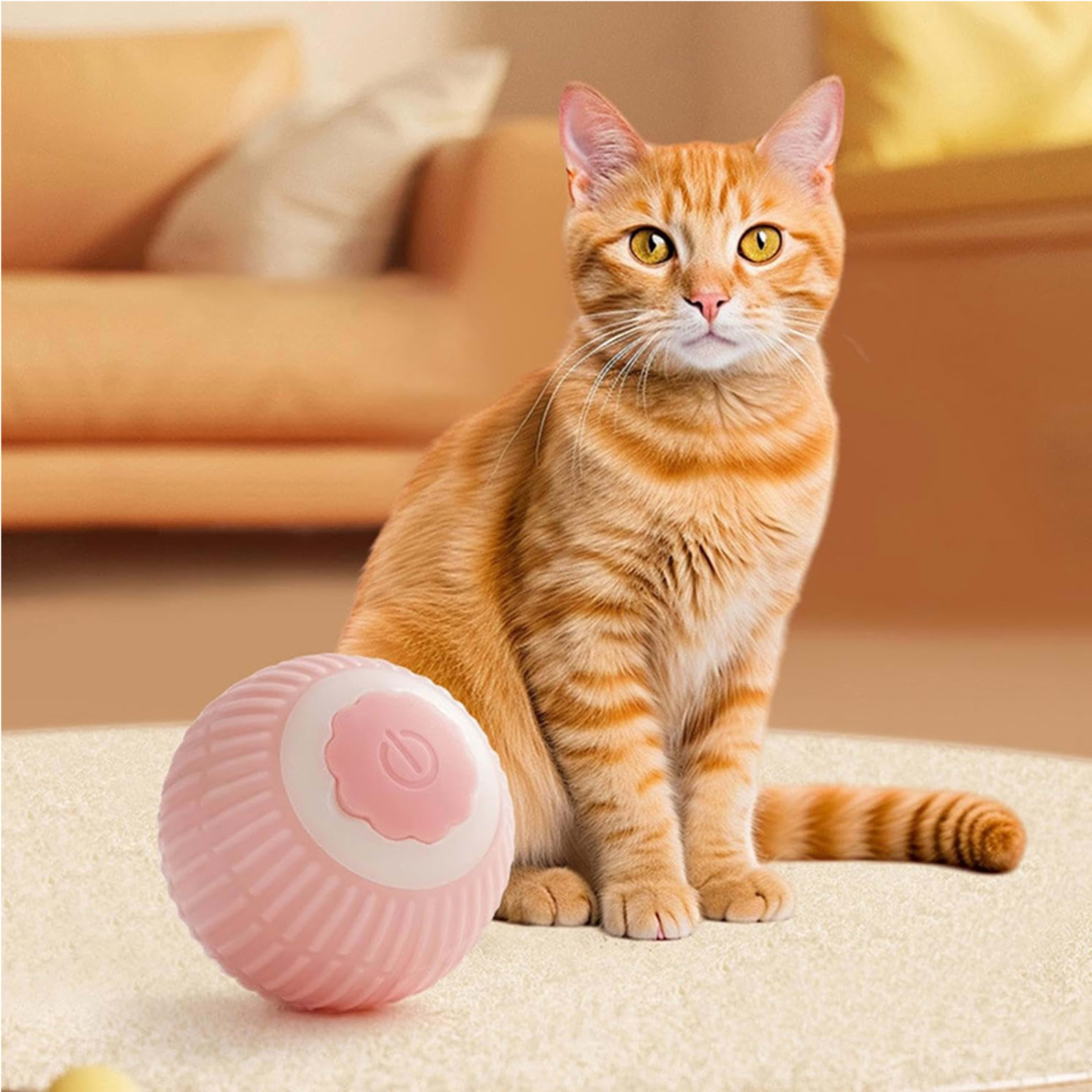 Electric Dog Cat Ball Toy,Indoor Large And Small Cat Dog Interactive Intelligent Rolling Pet Ball 11