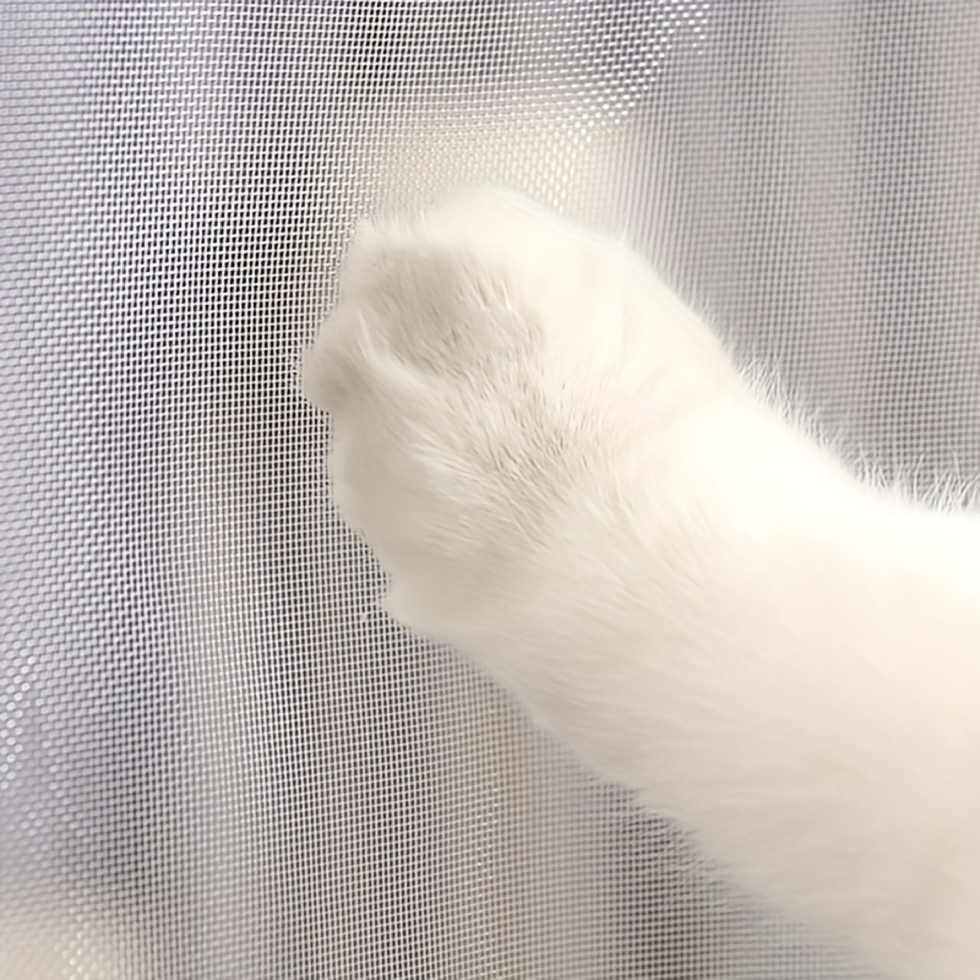 Magnetic Mosquito-proof Door Curtain, Summer Upgraded Screen Window, No Need To Drill, Mesh Curtain - Keeps Insects Out  9