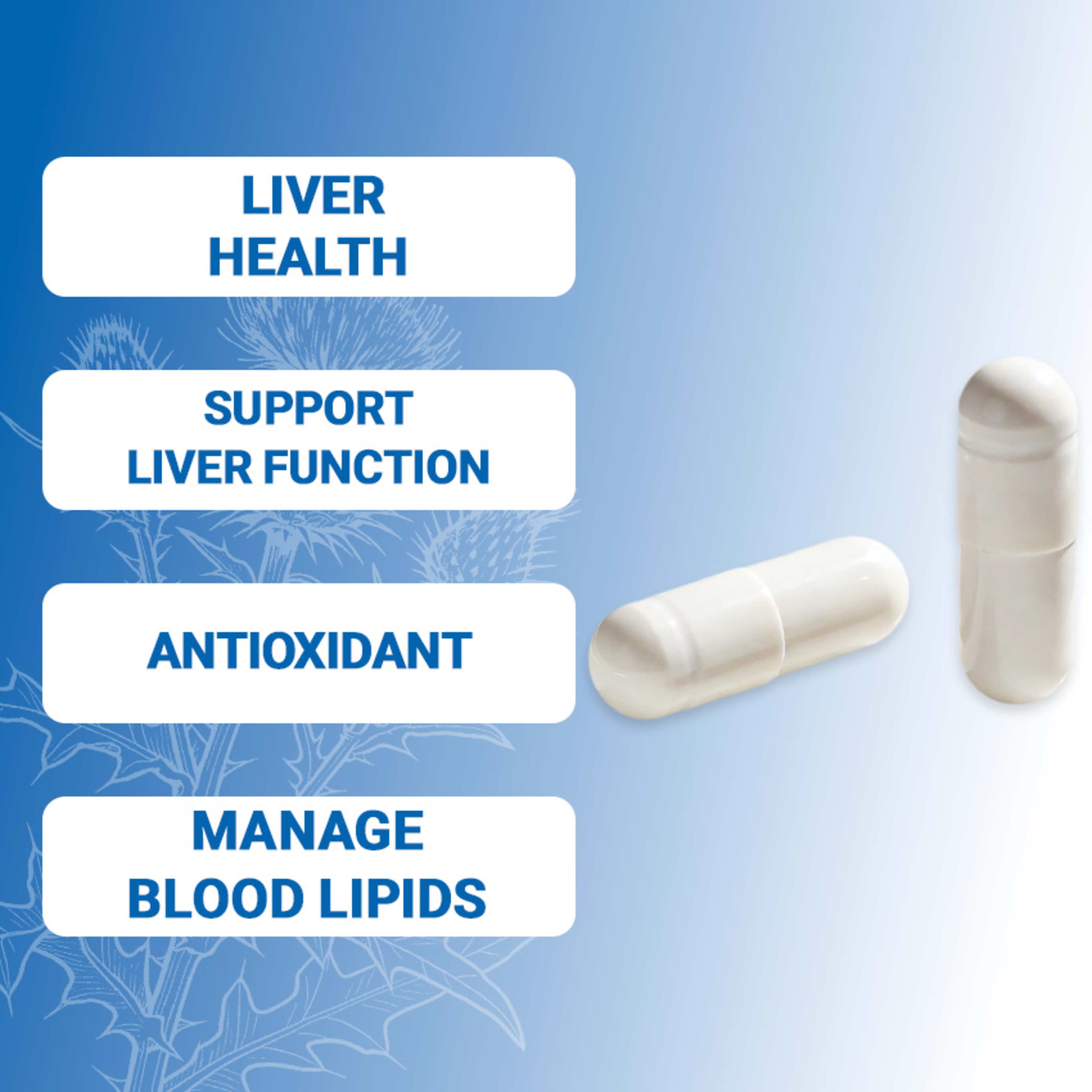 Milk Thistle Supplement 9