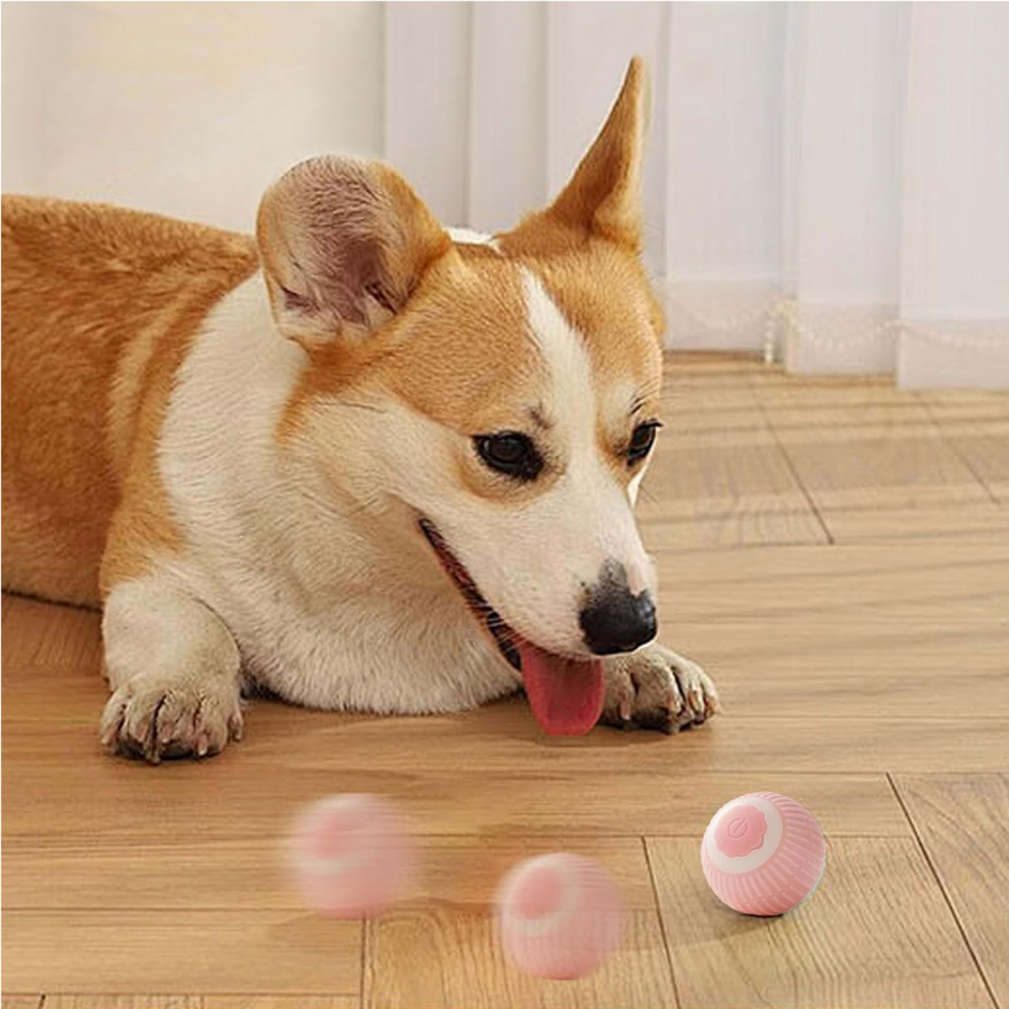 Electric Dog Cat Ball Toy,Indoor Large And Small Cat Dog Interactive Intelligent Rolling Pet Ball 15