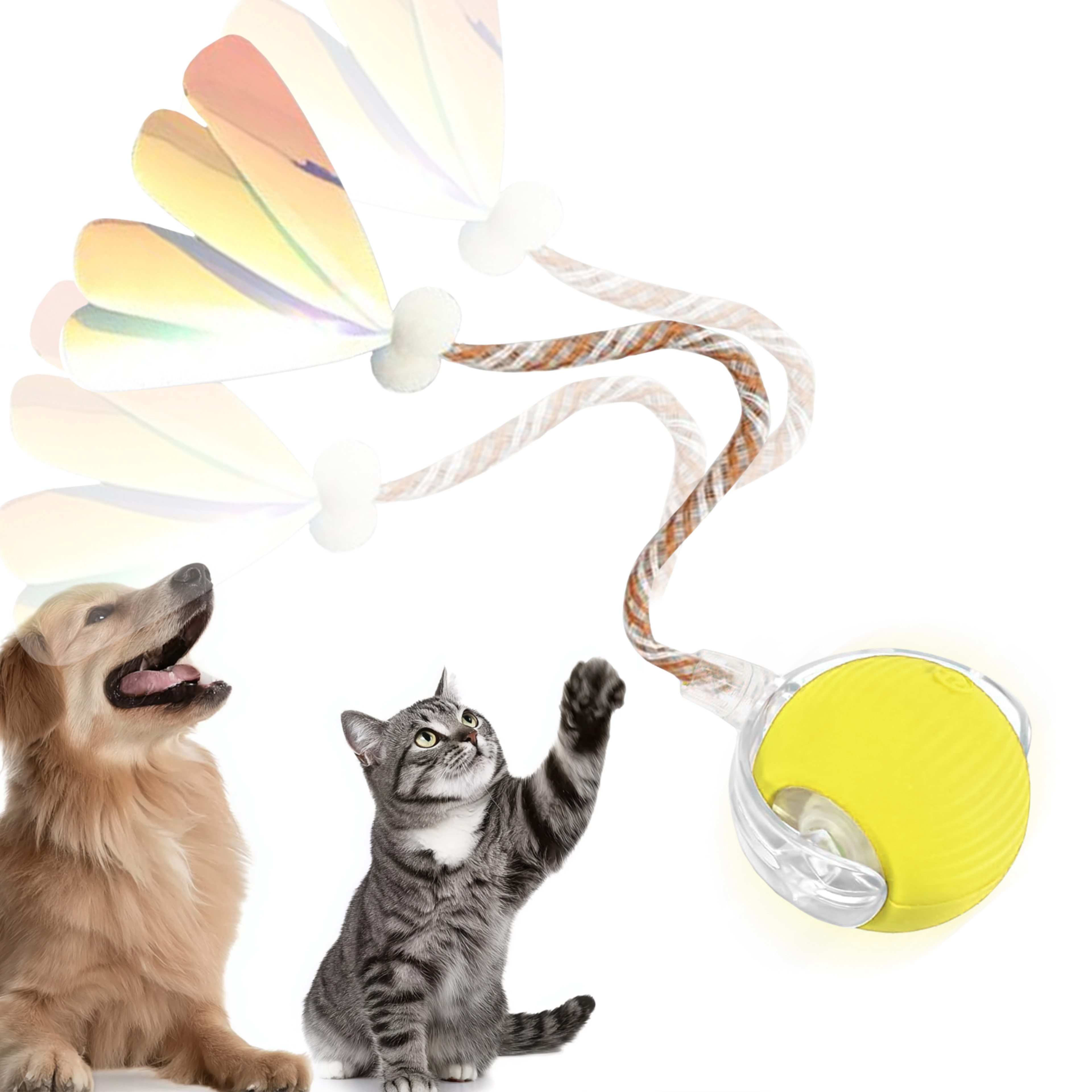 Interactive Toys Ball For Cats, Dog,Agile Moving Cat Ball With ElasticMesh Tail 5