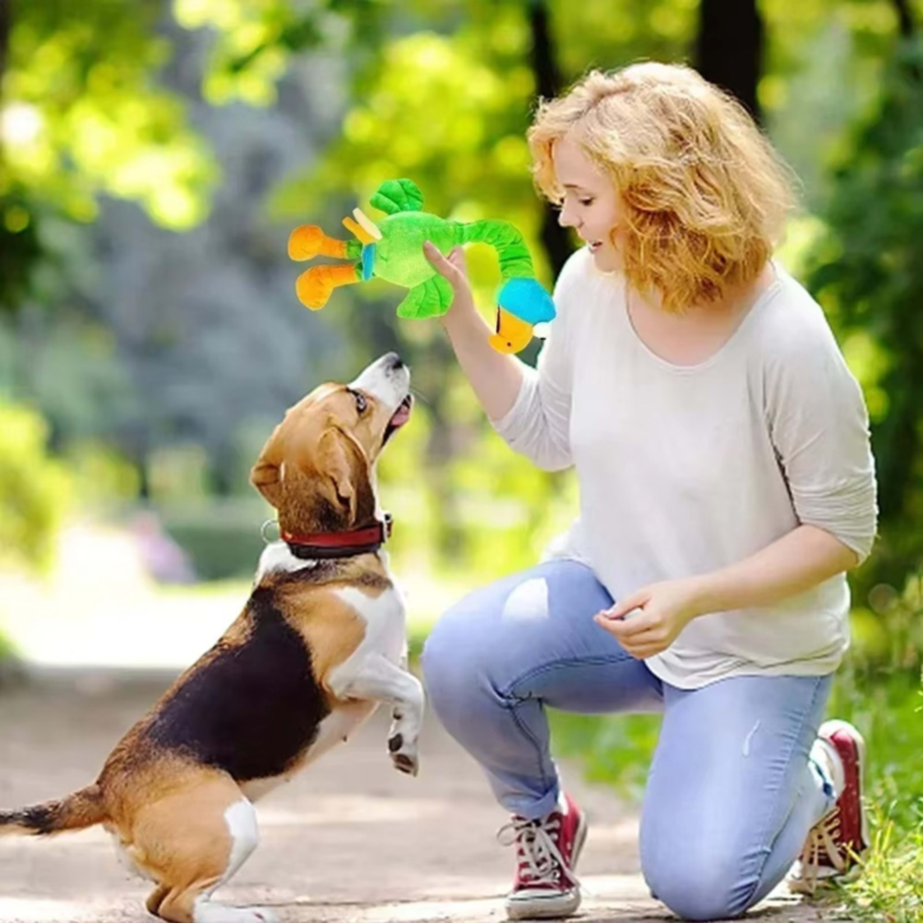 Pets Dog Toys Screaming Chicken Sound Toy Puppy Bite Resistant Chew Toy Interactive Squeaky Dog Toy Puppy Dog Accessorie 11