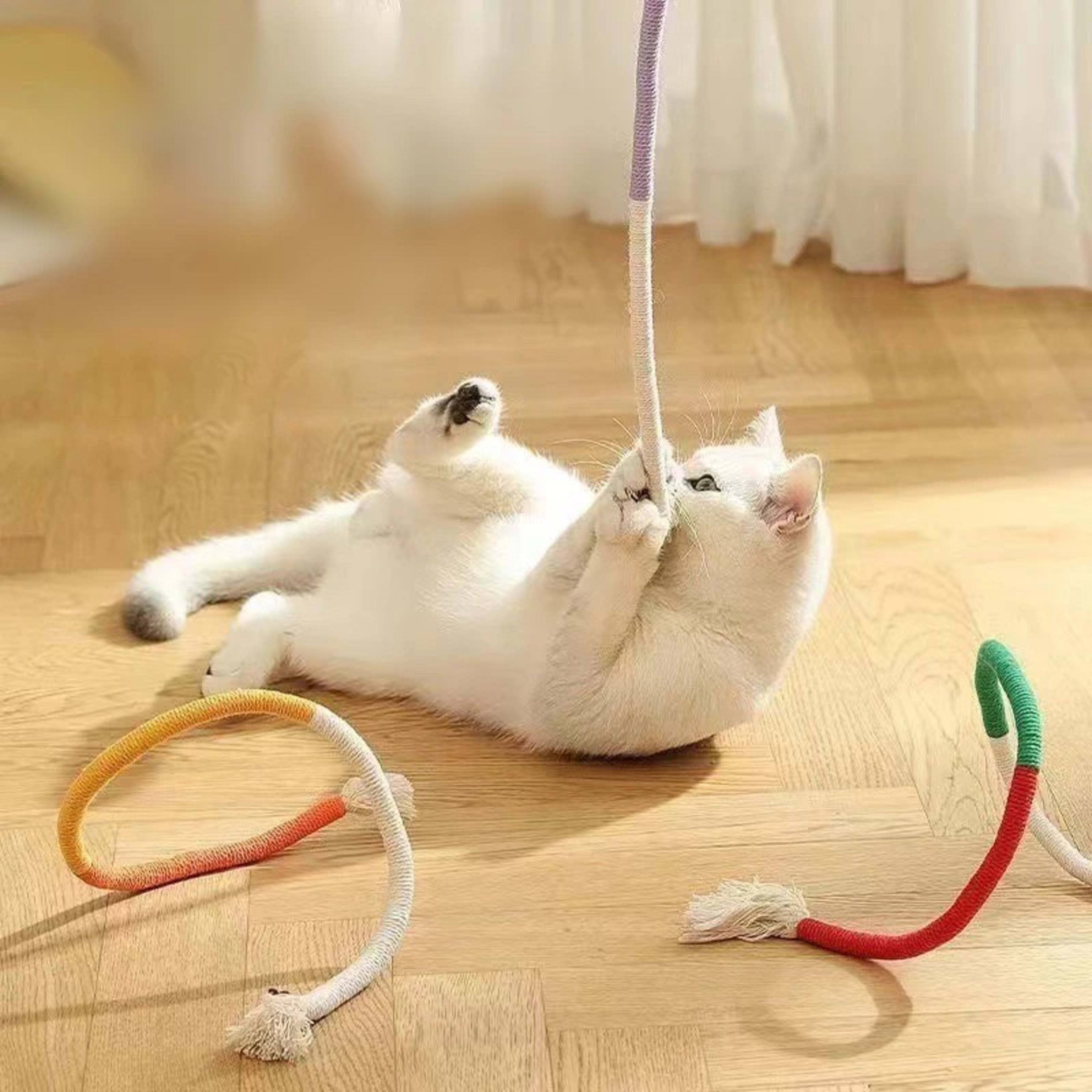 3pcs Catnip Rope Cat Chew Toy Teeth Cleaning Interactive Kitten Teething Play 70cm 8