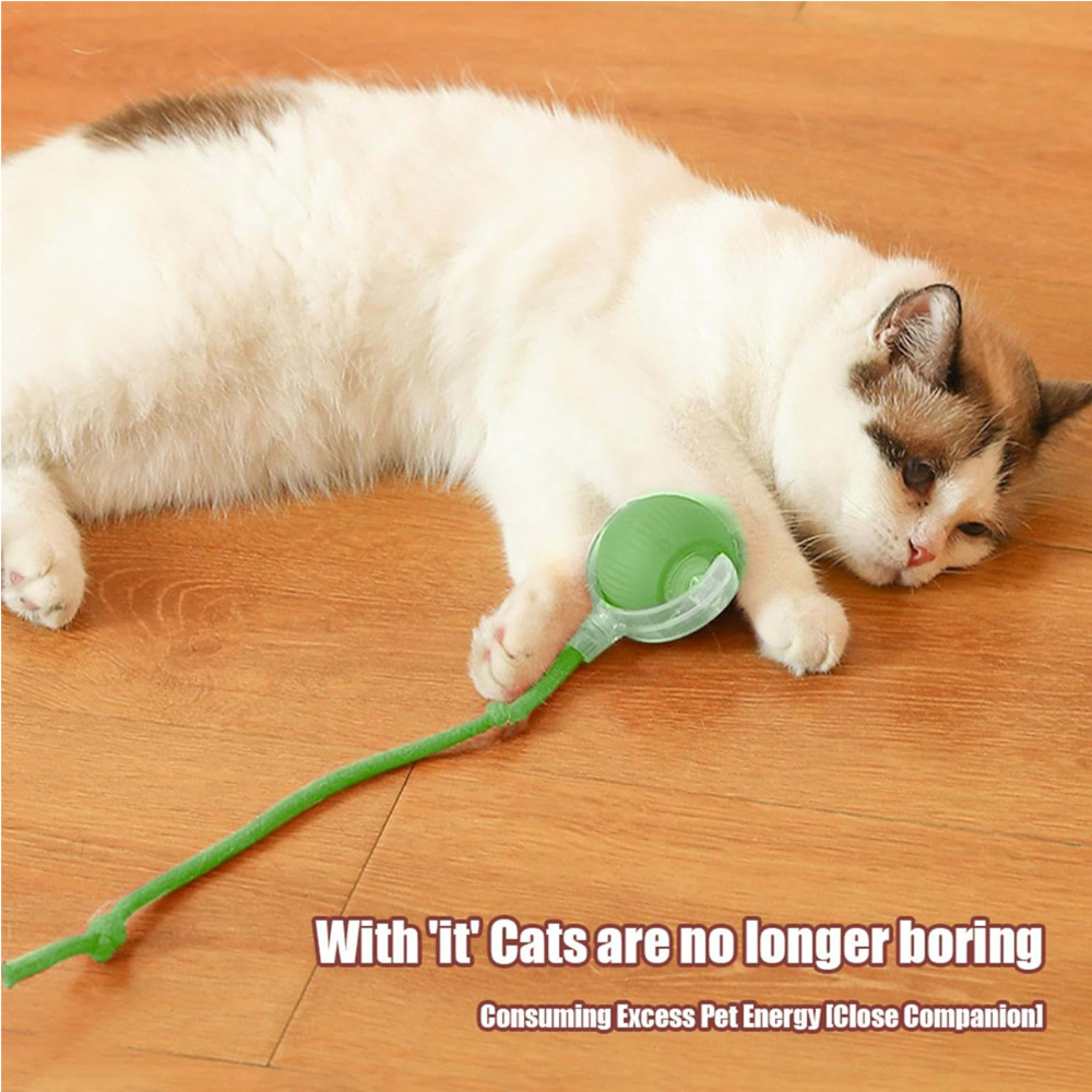 Electric Dog Cat Ball Toy,Indoor Large And Small Cat Dog Interactive Intelligent Rolling Pet Ball 4