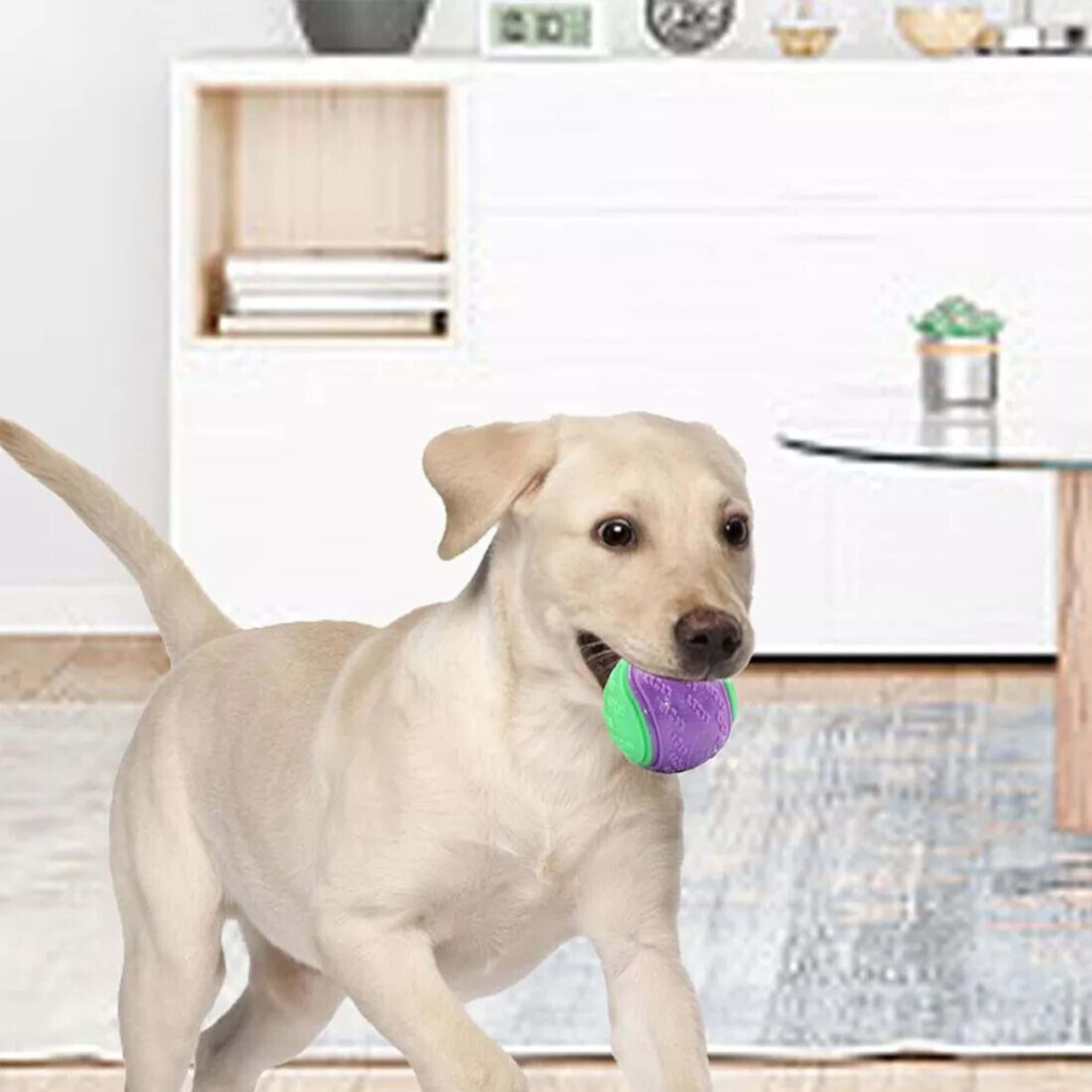 NEW Scooby-Doo Durable Squeaky Set Of 8 Dog Balls For Teeth Cleaning Interactive UK 19