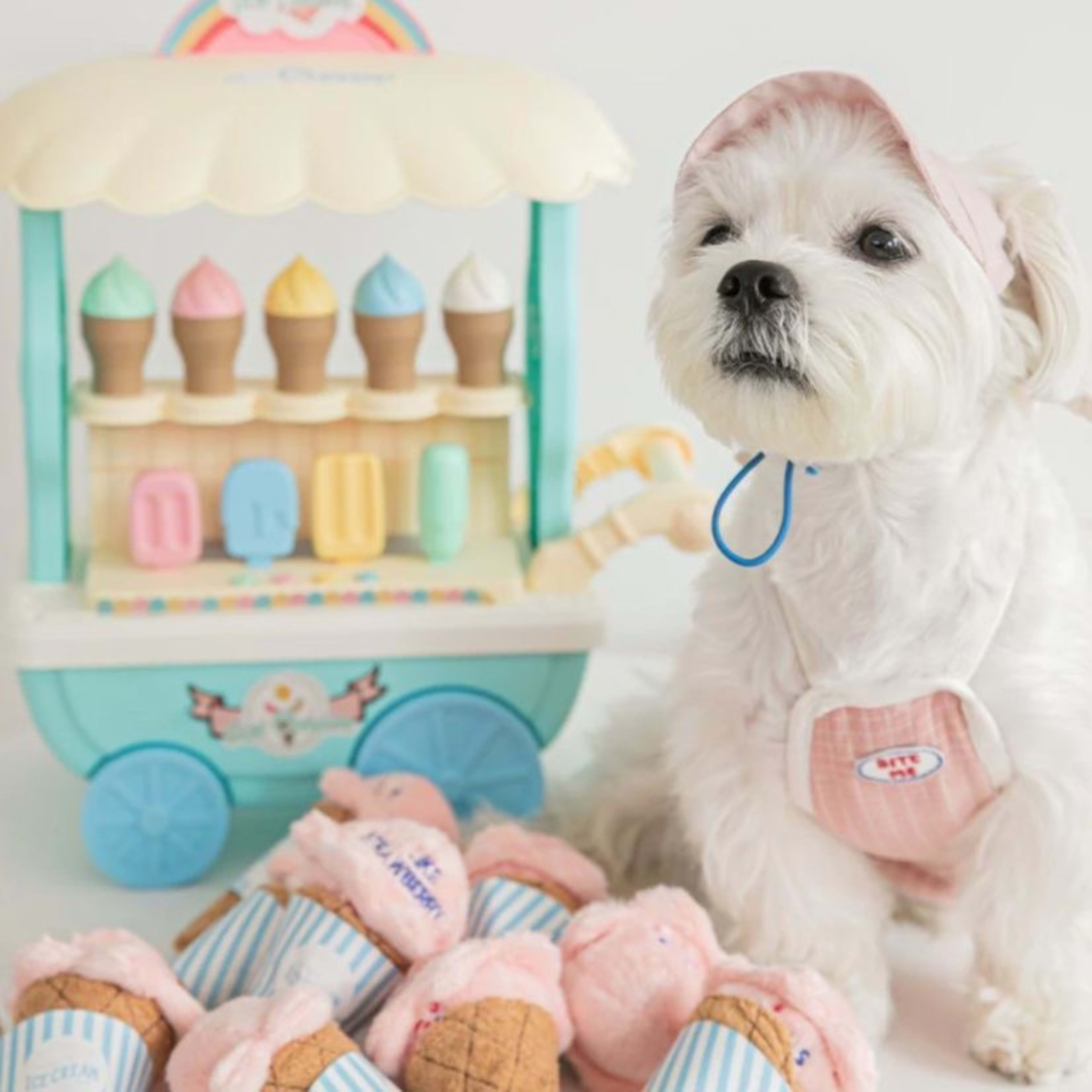 Pets Can Smell And Make Sounds To Relieve Boredom By Grinding Their Teeth. Paper Dogs And Cats Hide Ice Cream Toys 5