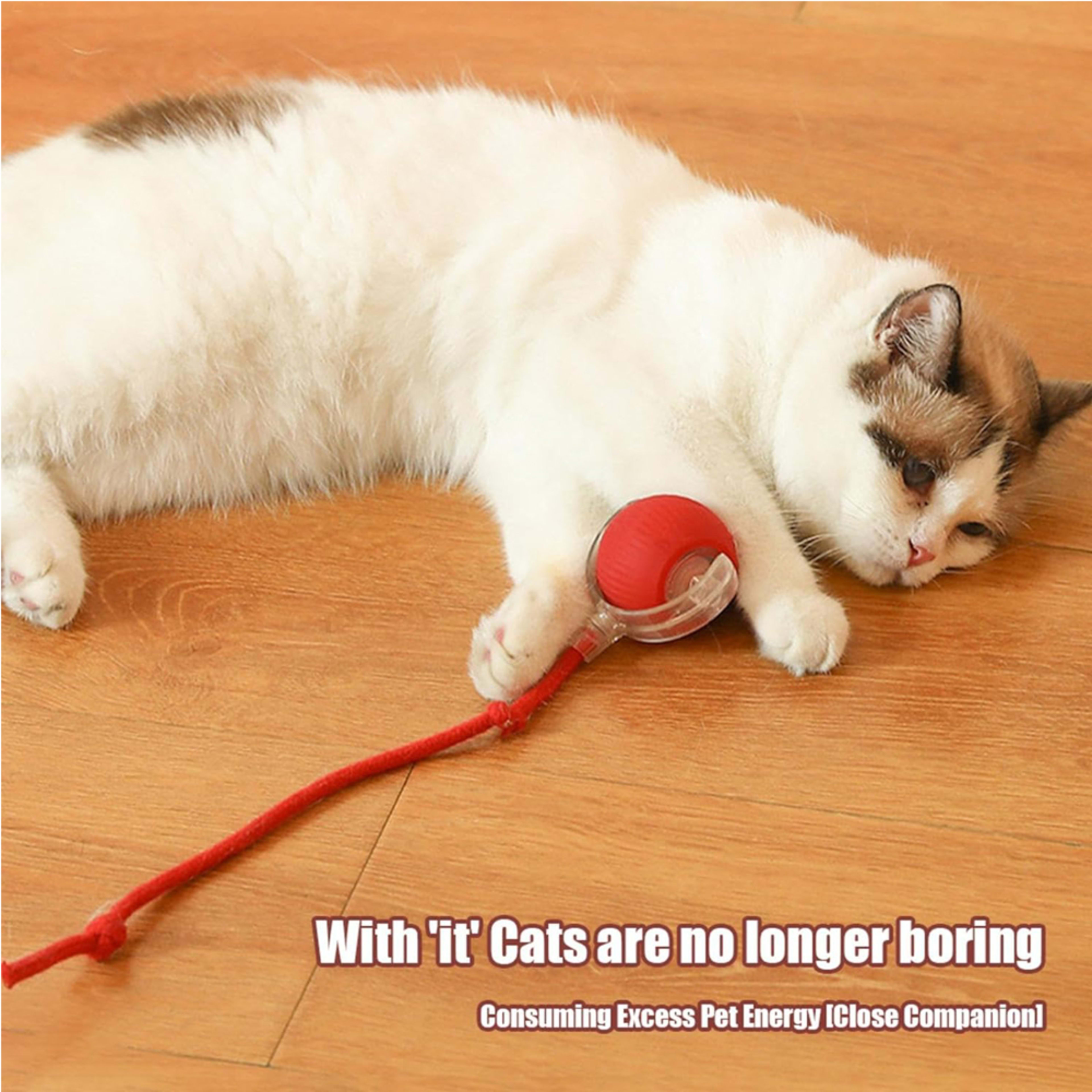 Electric Dog Cat Ball Toy,Indoor Large And Small Cat Dog Interactive Intelligent Rolling Pet Ball 6