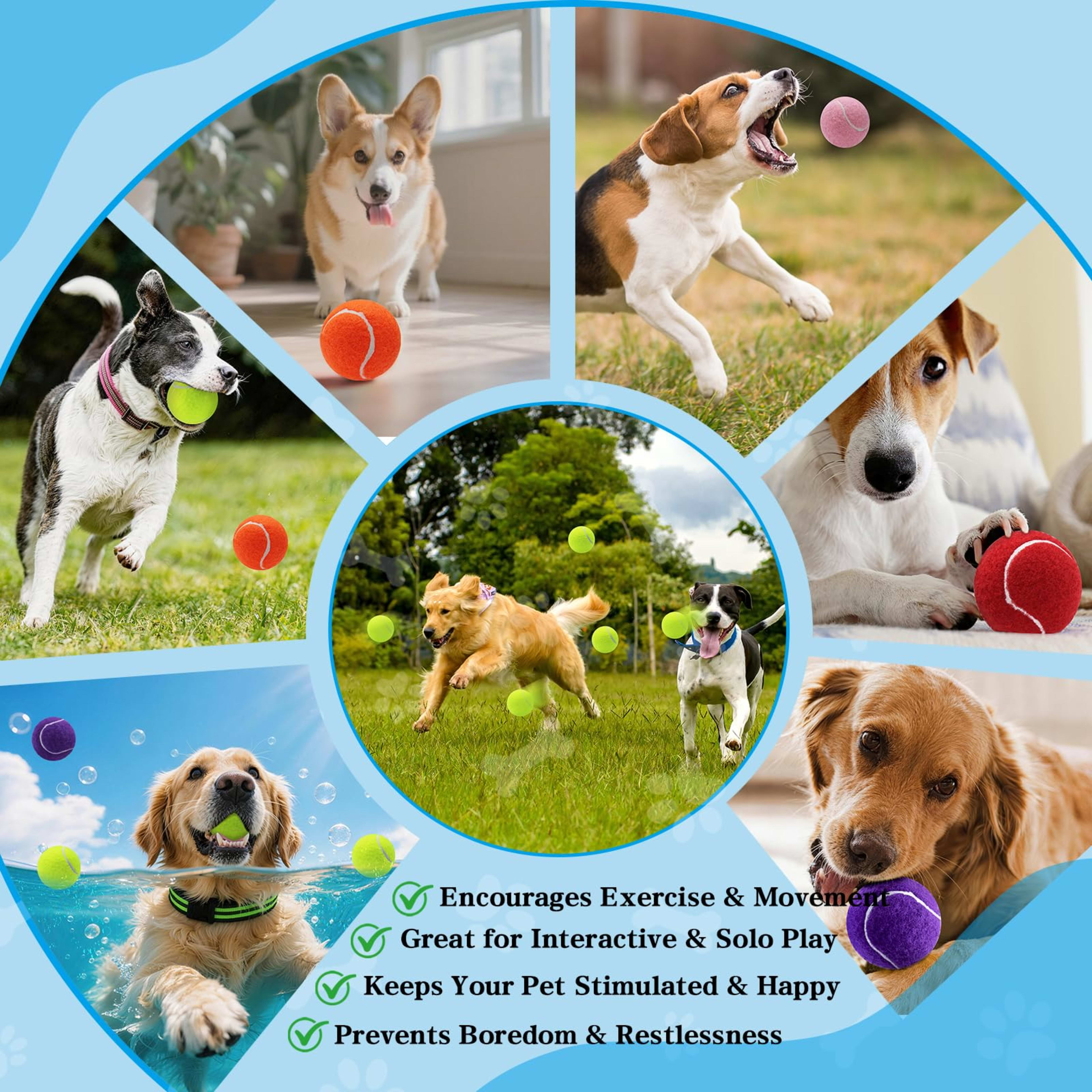 Dog Balls, Tennis Balls For Dogs,Colorful Easy Catching Pet Playing Ball 5