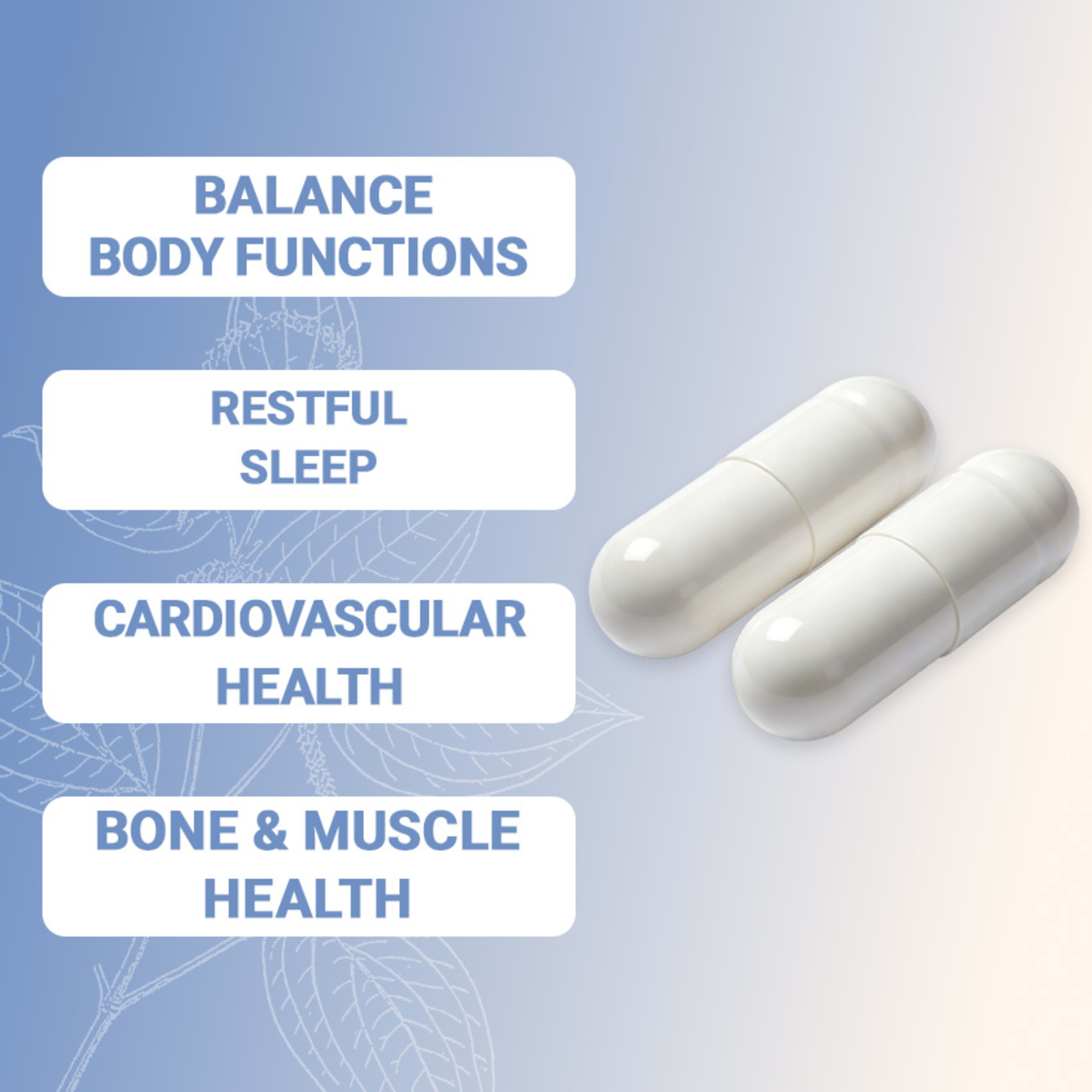 Magnesium Glycinate Capsules 8