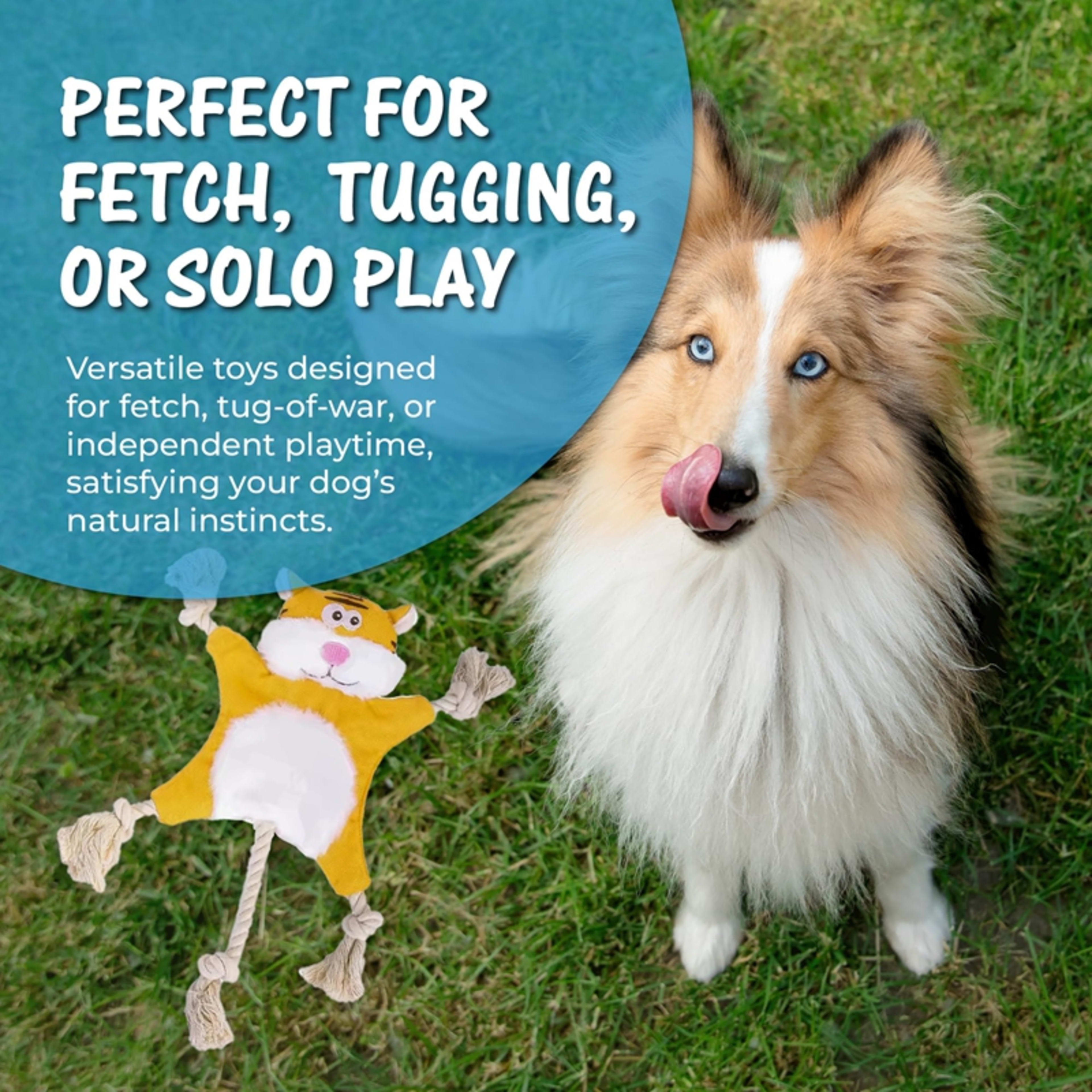 Dog Toys, Stuffed, Chewing, Plush, Squeaky Animal Pet Toys, Puppy, Fox, Squirrel, Dog, Cat, Chewing, Squeaky Toys, Pet S 5