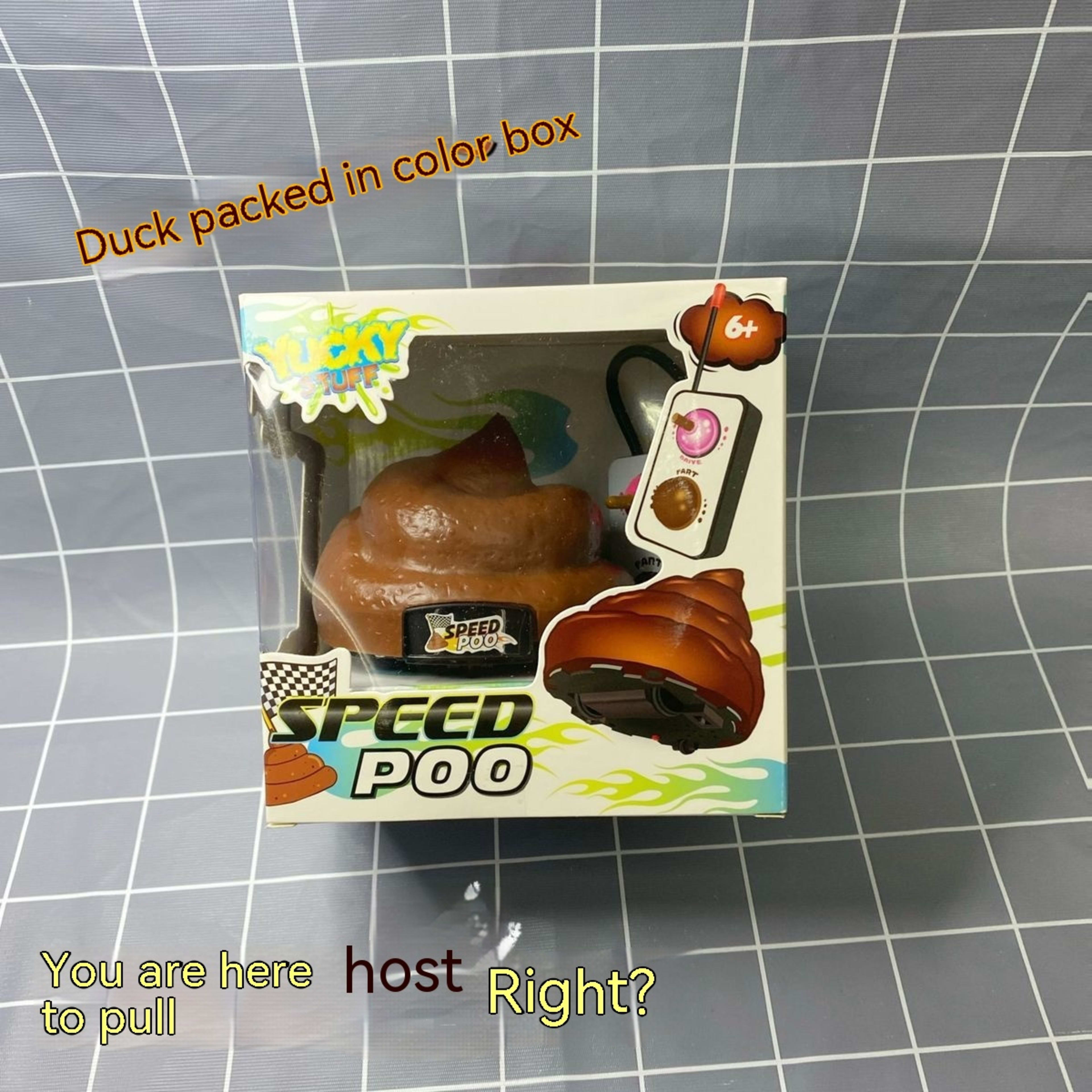 Remote Control Simulation Poop Toy Gift 1