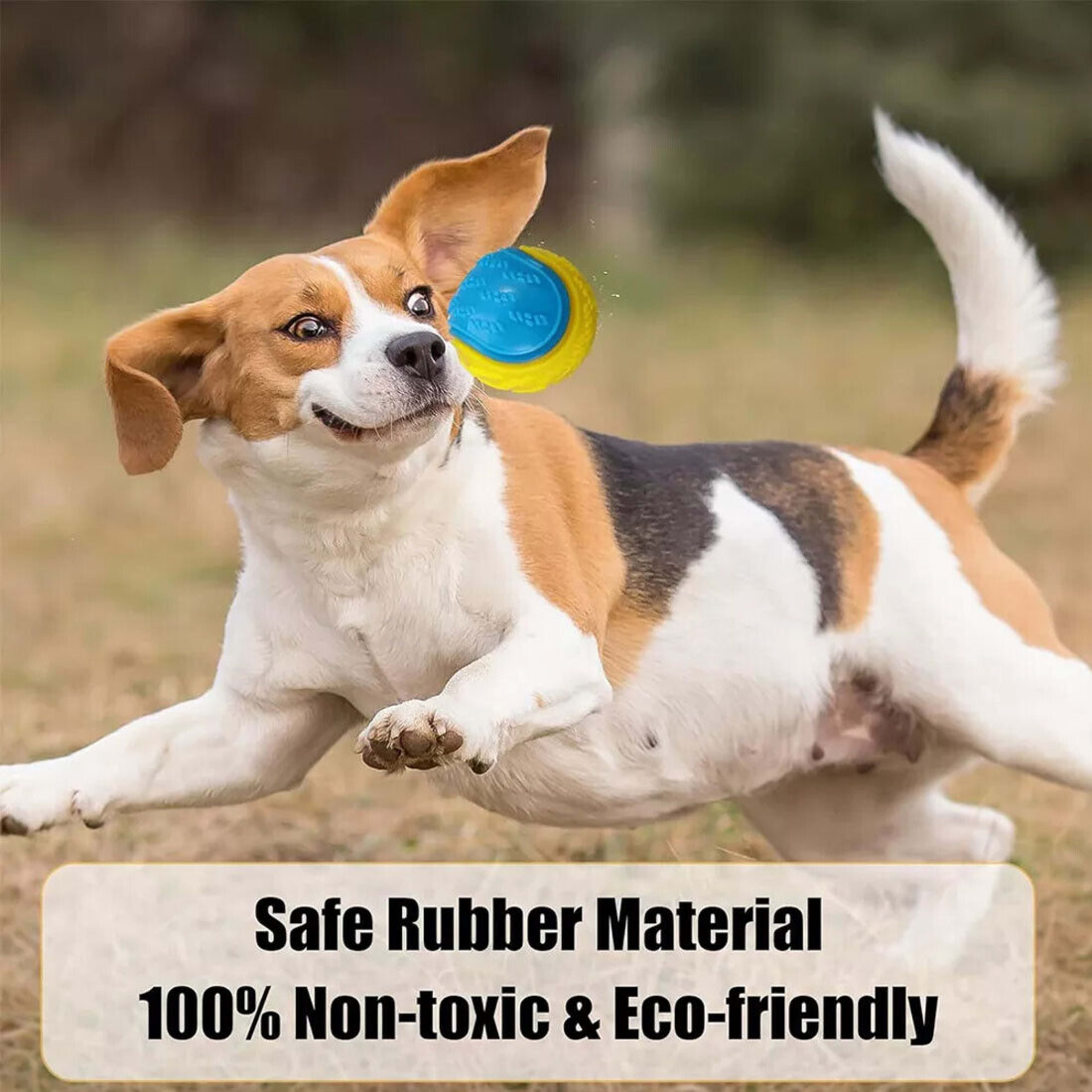 NEW Scooby-Doo Durable Squeaky Set Of 8 Dog Balls For Teeth Cleaning Interactive UK 16