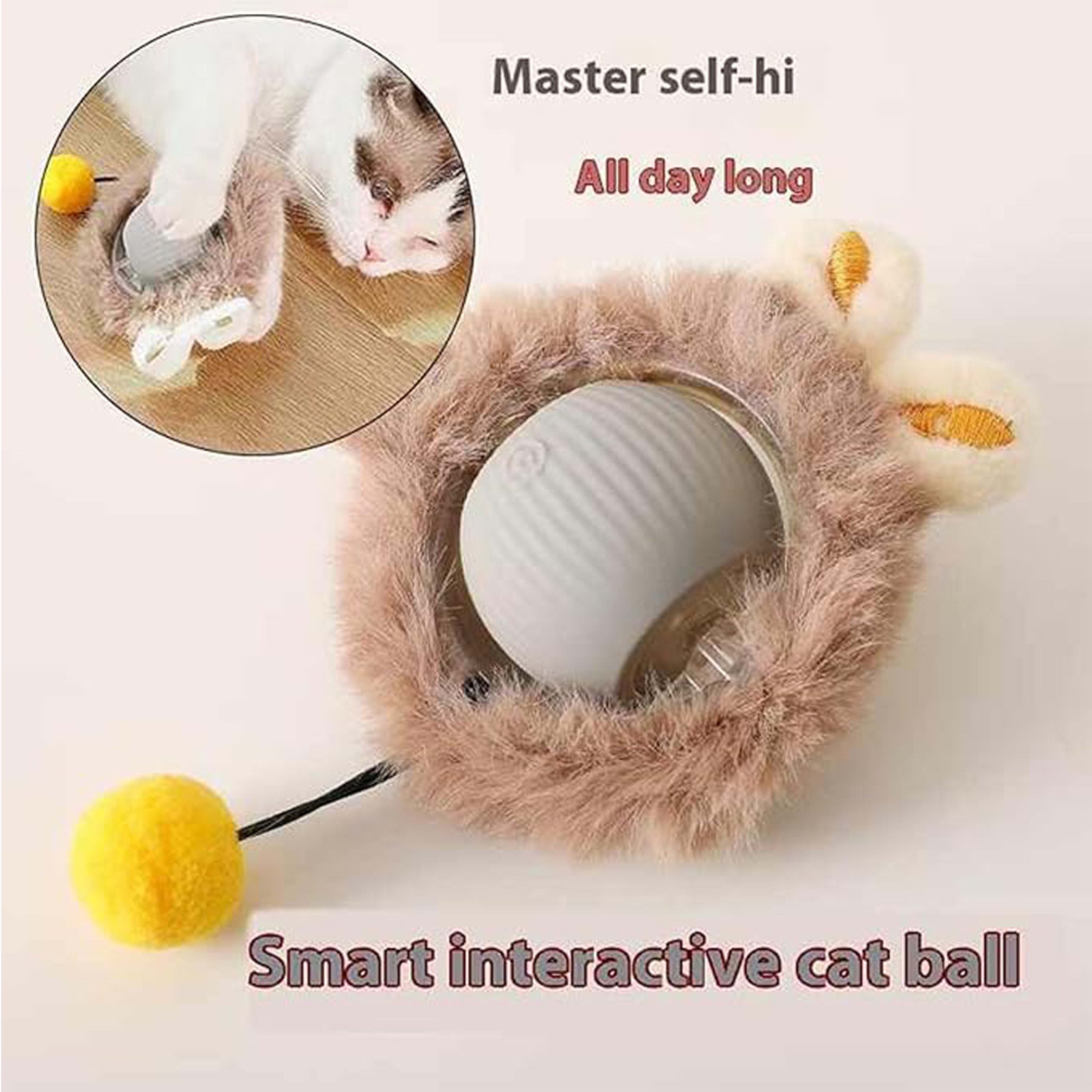 Electric Dog Cat Ball Toy,Indoor Large And Small Cat Dog Interactive Intelligent Rolling Pet Ball 2