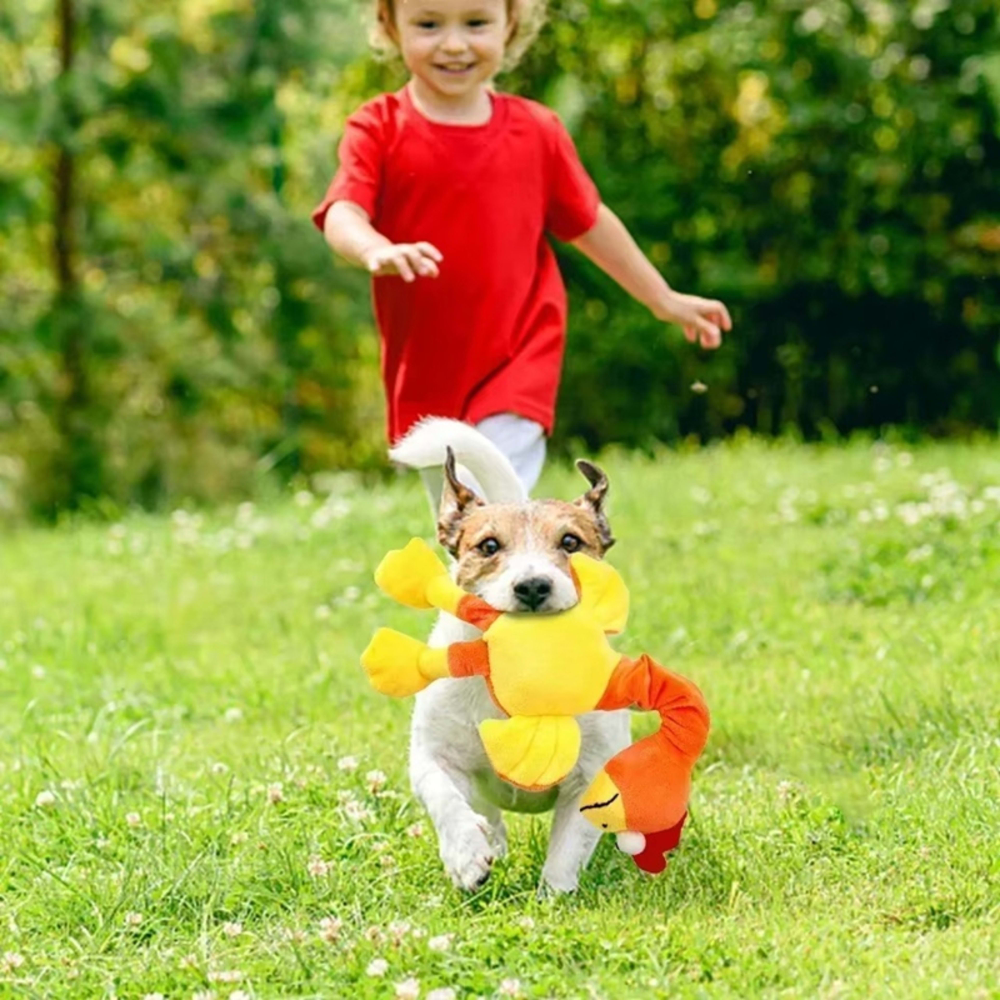 Pets Dog Toys Screaming Chicken Sound Toy Puppy Bite Resistant Chew Toy Interactive Squeaky Dog Toy Puppy Dog Accessorie 9