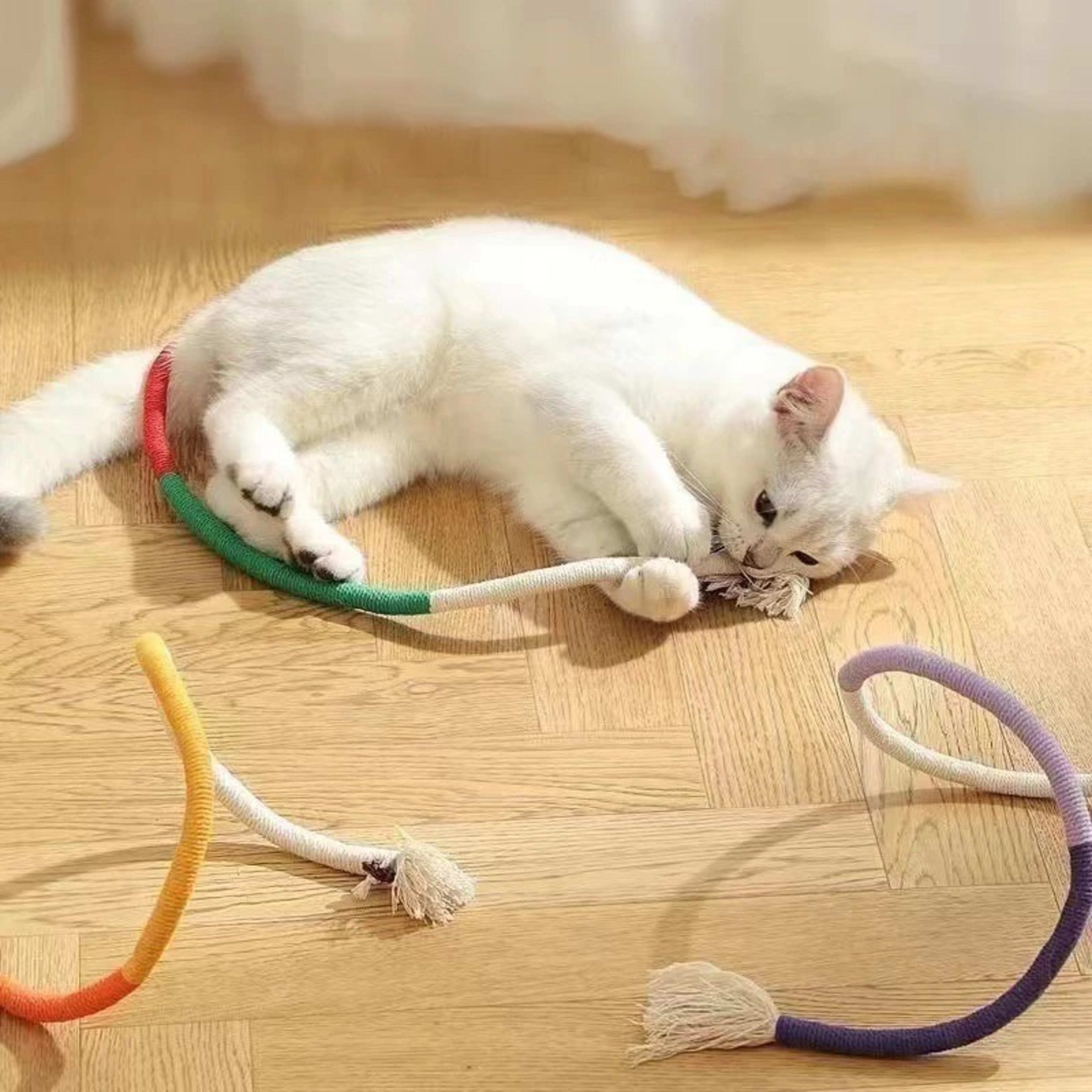 3pcs Catnip Rope Cat Chew Toy Teeth Cleaning Interactive Kitten Teething Play 70cm 5