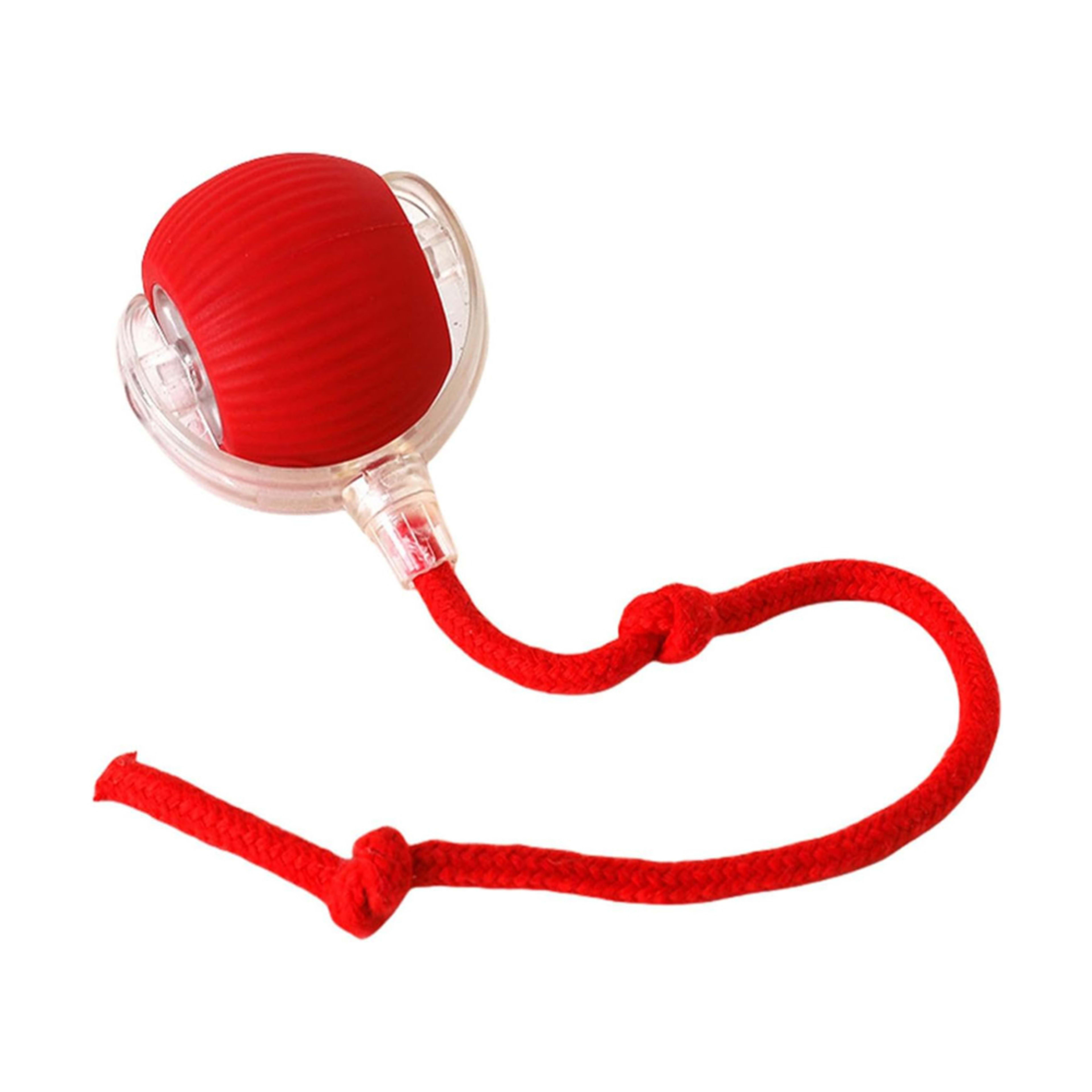 Electric Dog Cat Ball Toy,Indoor Large And Small Cat Dog Interactive Intelligent Rolling Pet Ball 2