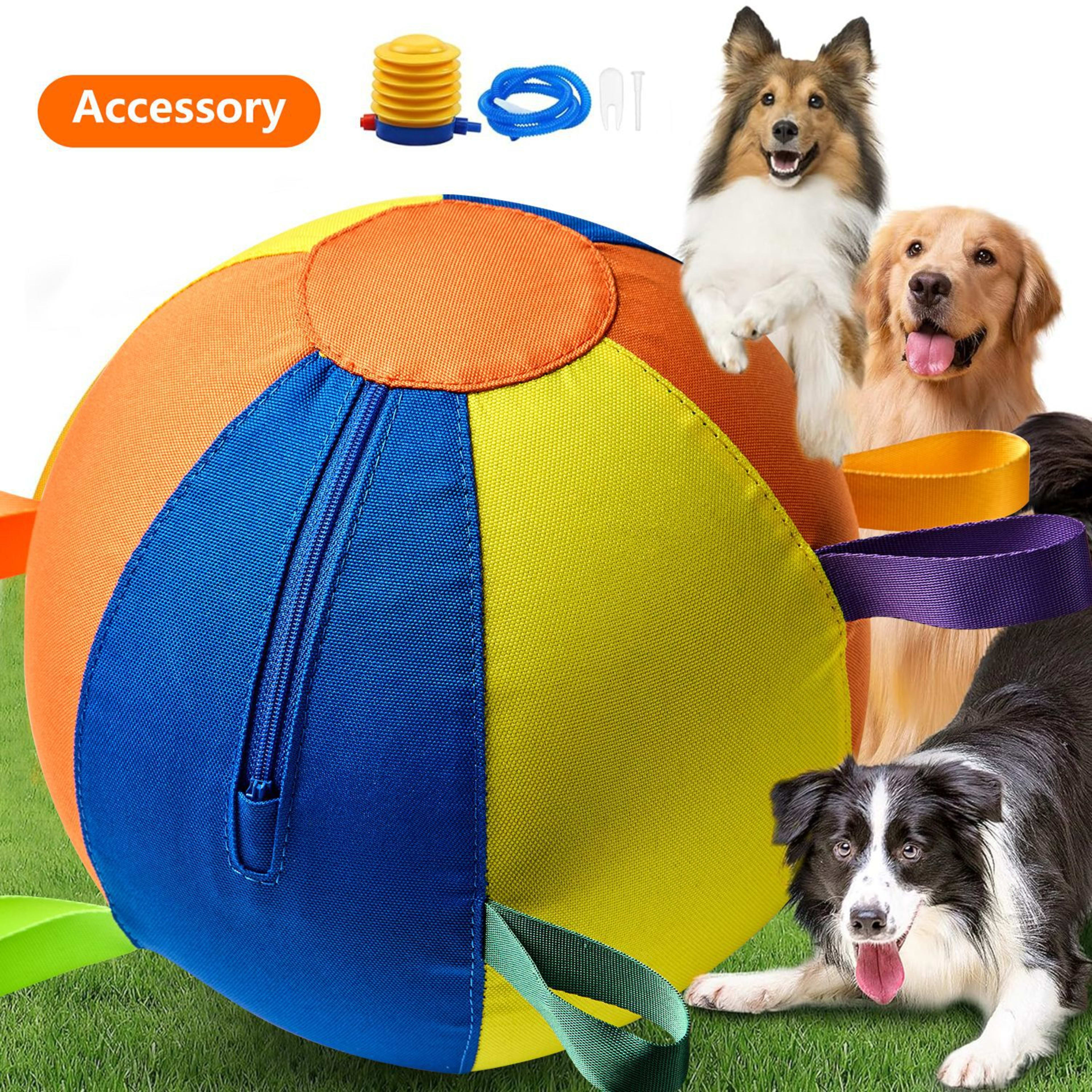 Complete Set Of Golden Retriever Chew-resistant Balls For Entertainment 5