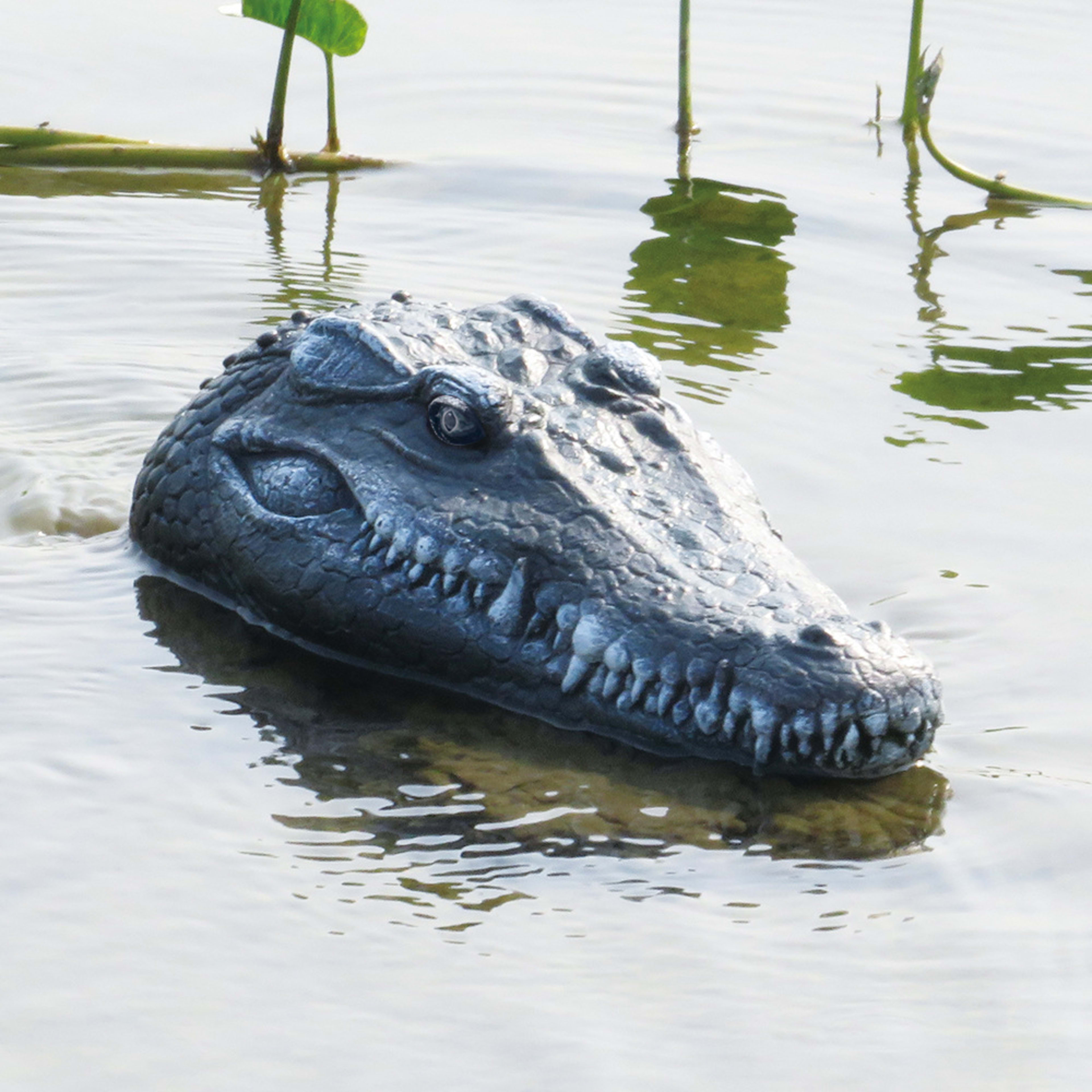 Simulated Crocodile Head Remote-control Ship Children's Water Ship Model Toys Boy Spoof 14